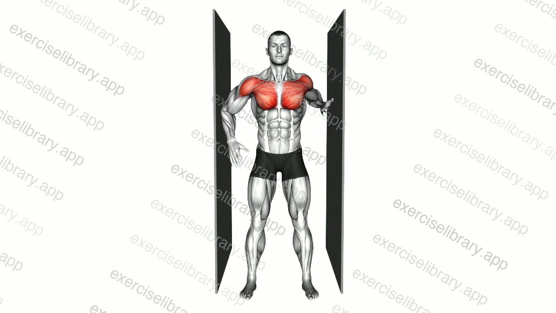 Standing One Arm Chest Stretch demonstration