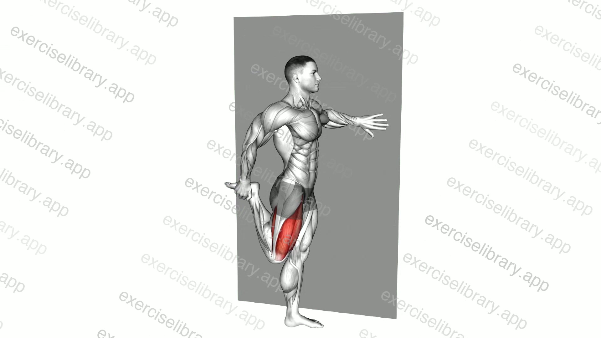 Standing Quadriceps Stretch demonstration