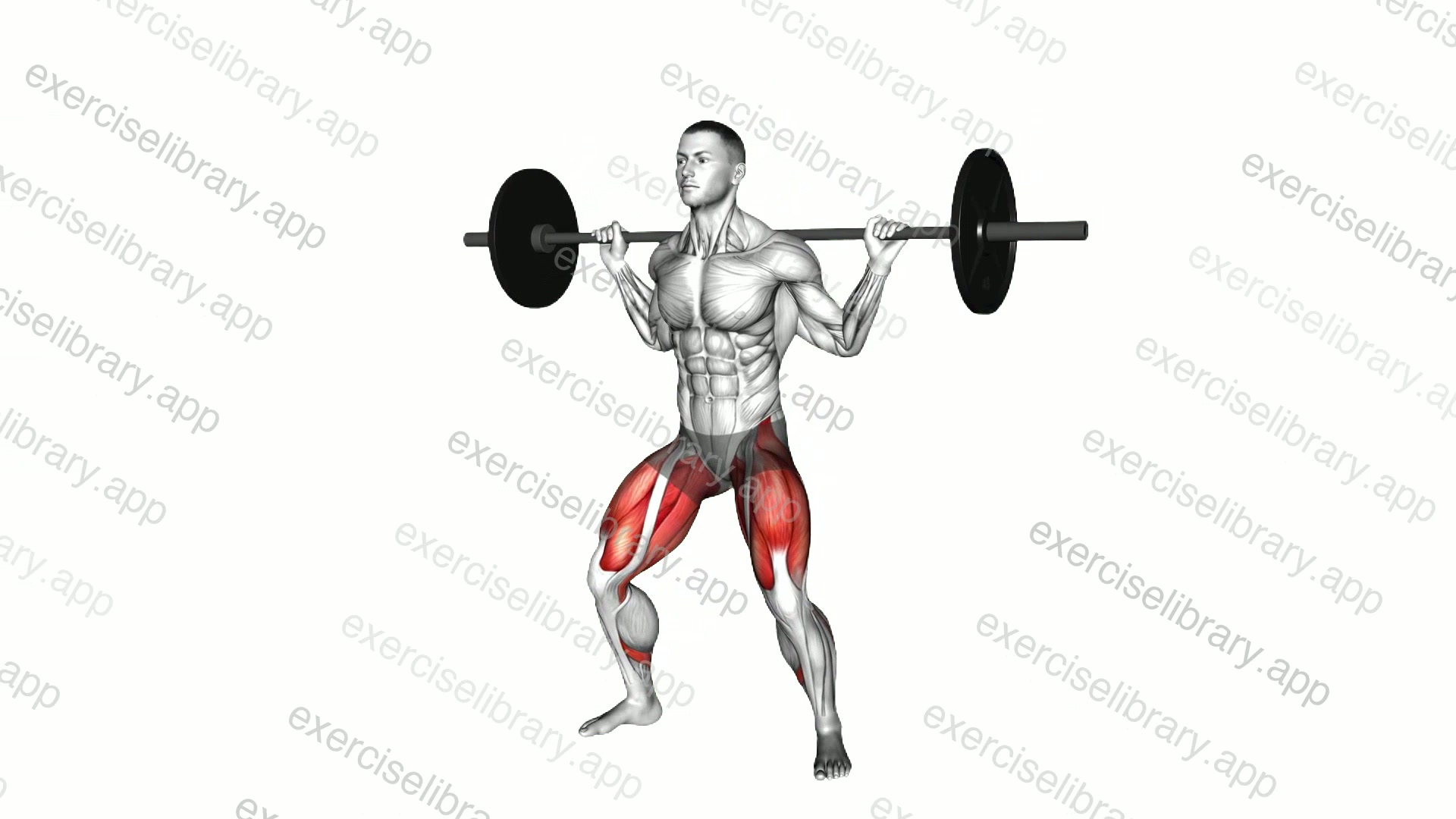 Barbell sumo squat demonstration