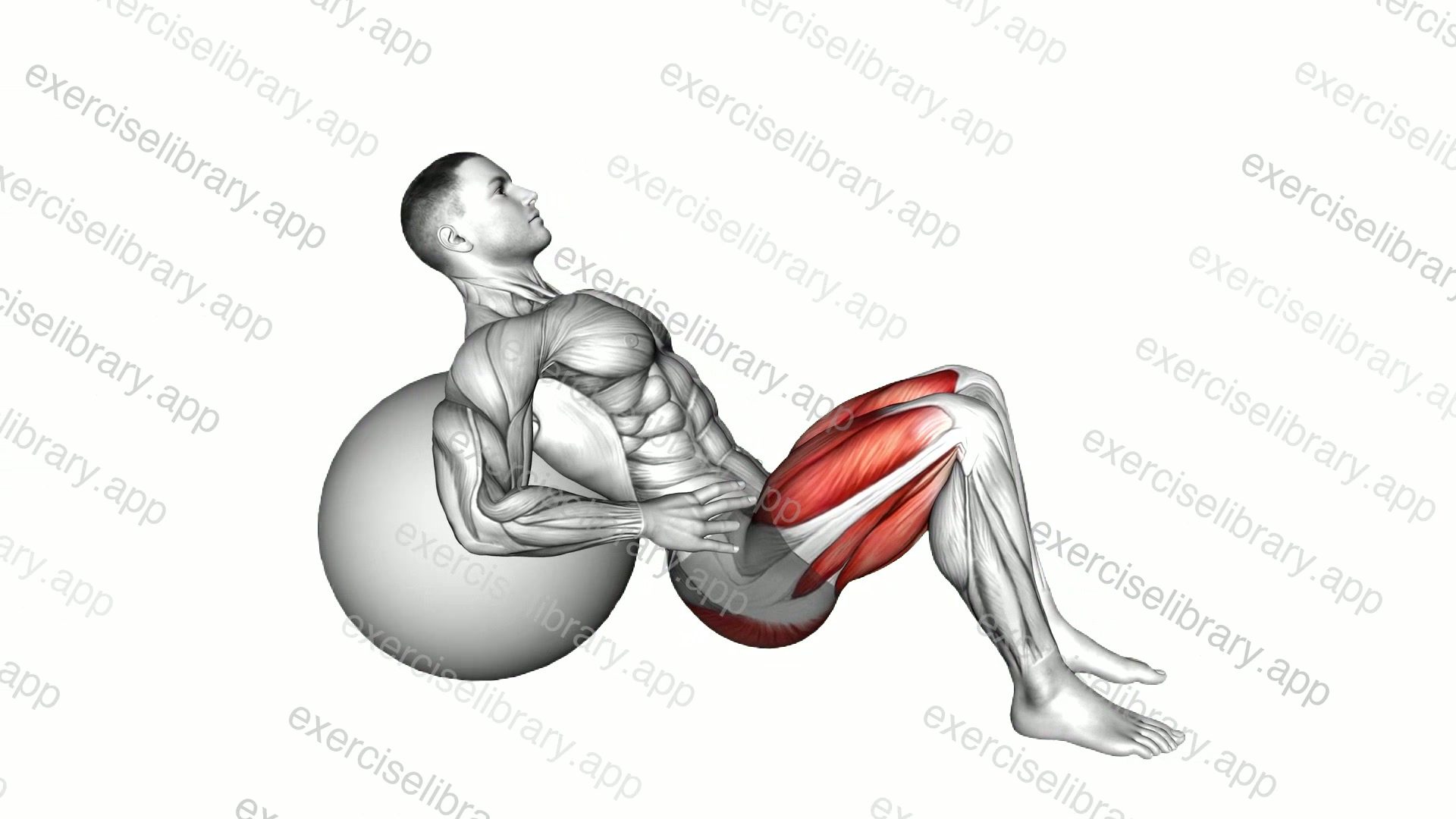 Lying Hip Lift demonstration