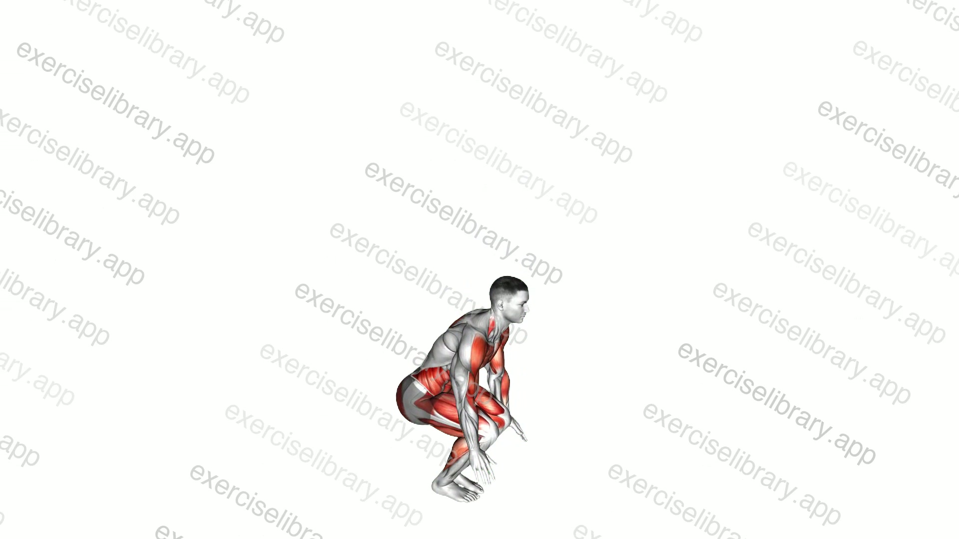 Burpee demonstration