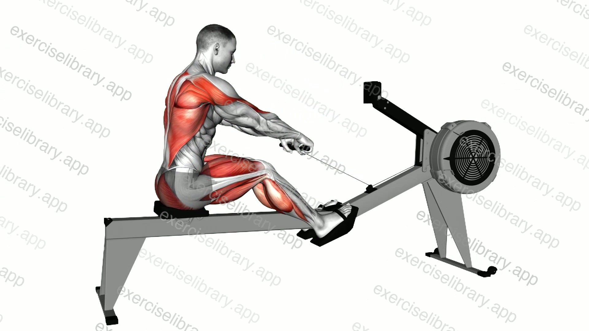 Rowing demonstration
