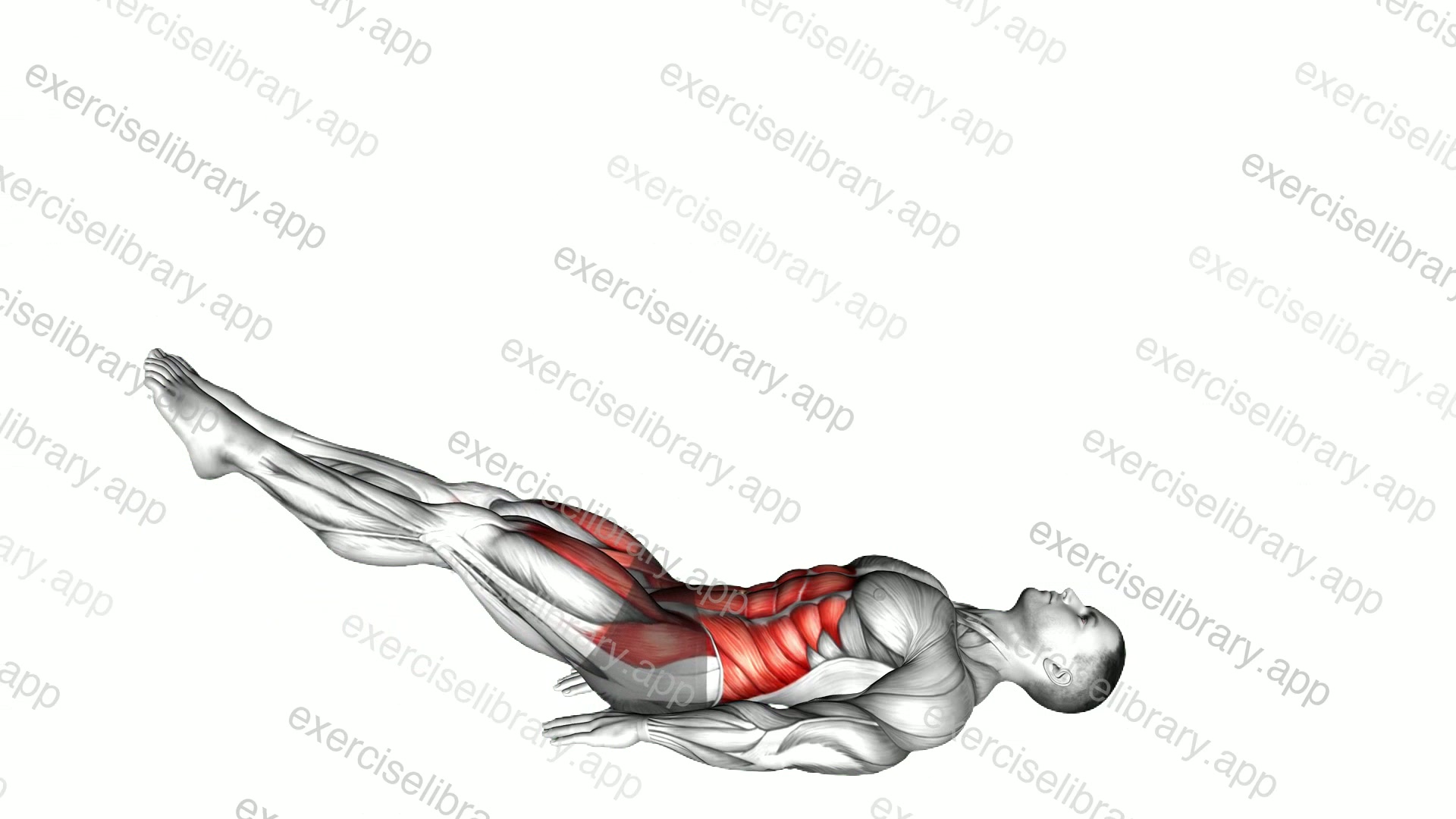 Lying Leg Raise demonstration