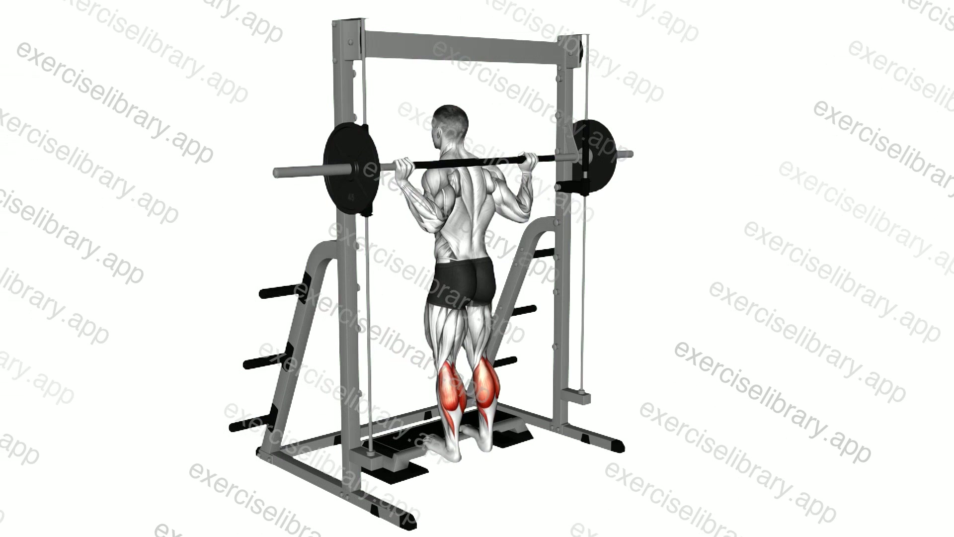 Smith Calf Raise demonstration