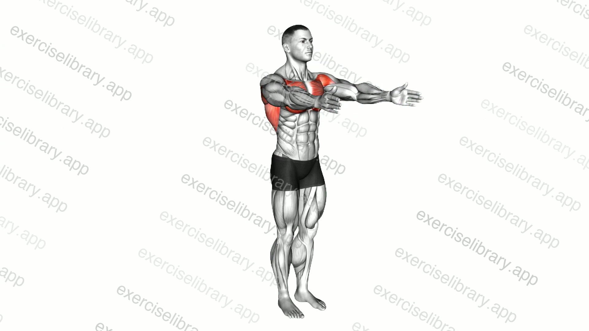 Dynamic Chest Stretch demonstration