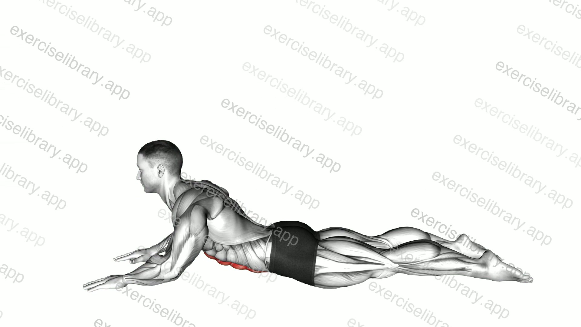 Lying Abdominal Stretch demonstration