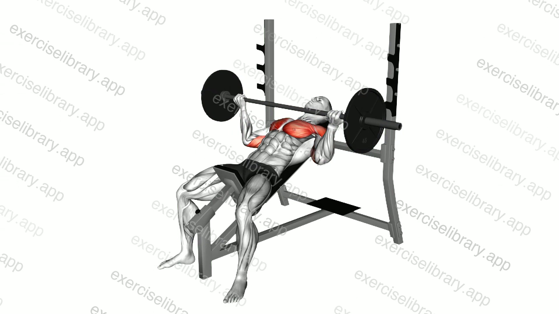 Barbell Incline Wide Reverse Grip Bench Press demonstration