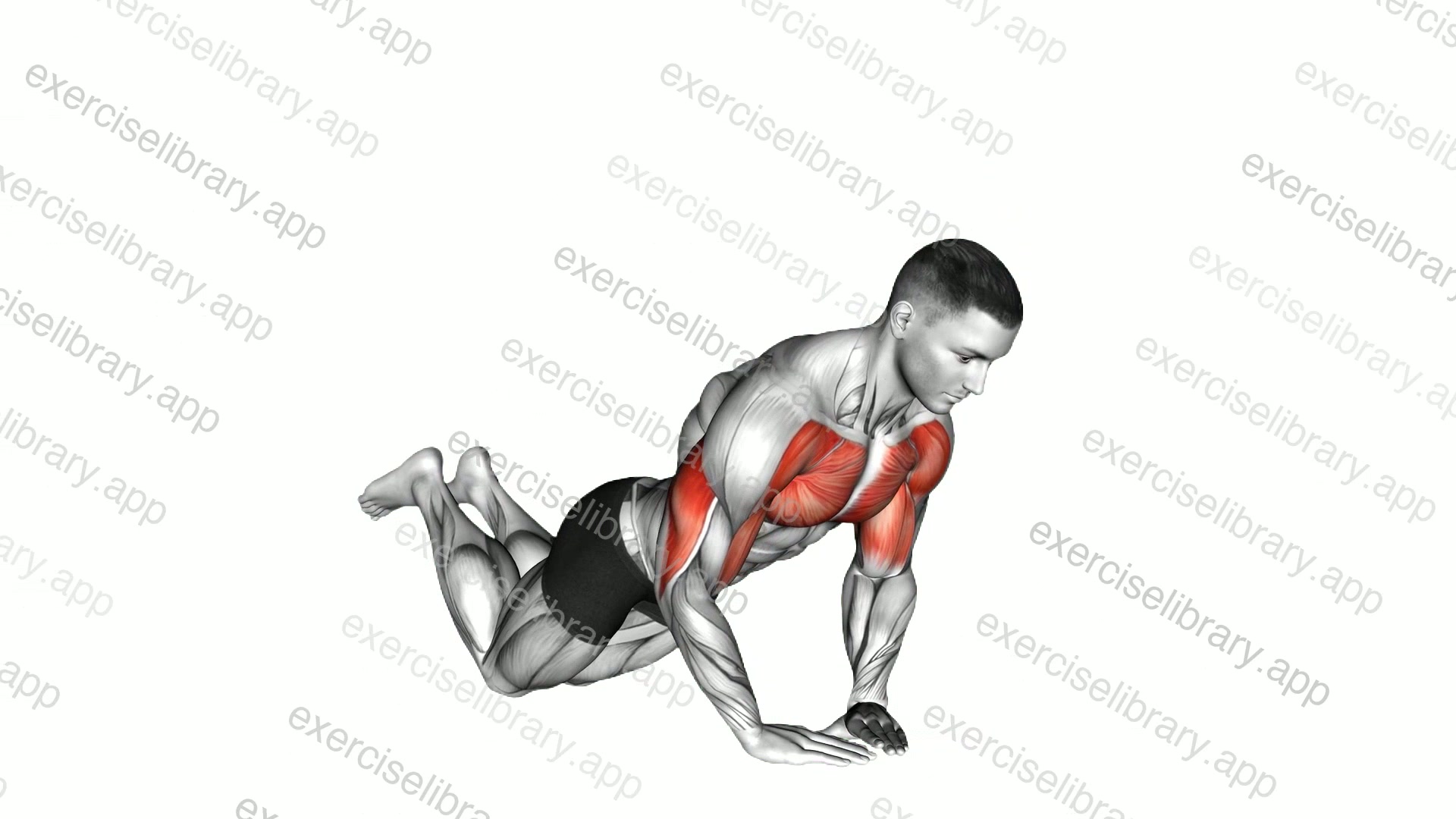 Diamond Push-up demonstration