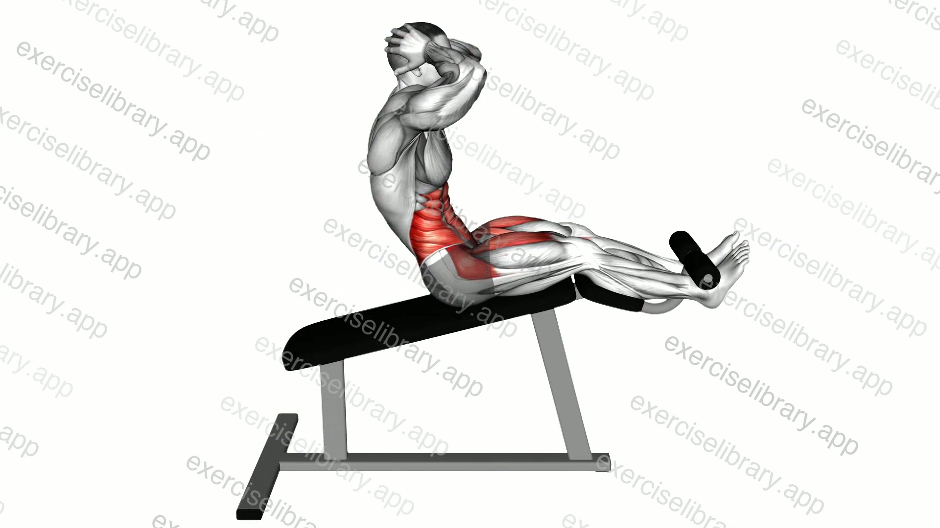 Incline Twisting Sit-up demonstration