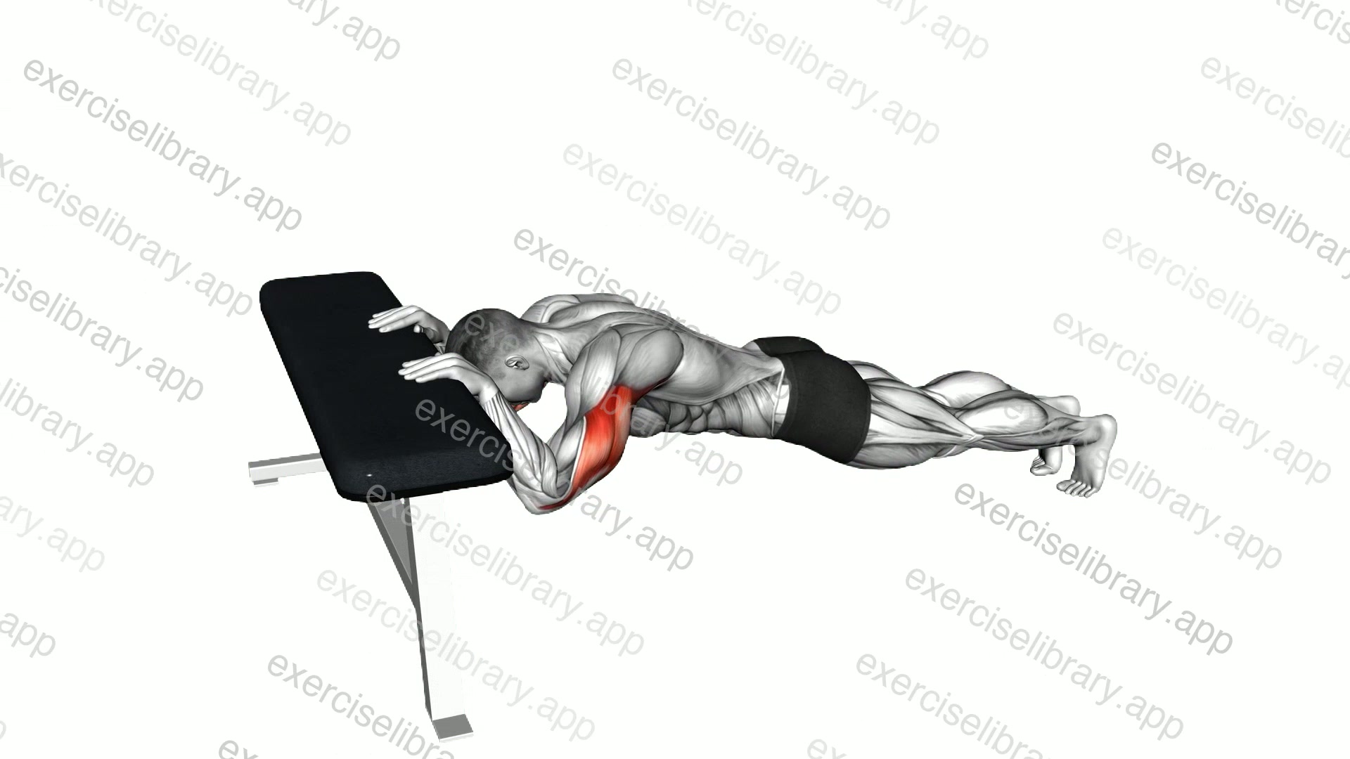 Triceps Press demonstration