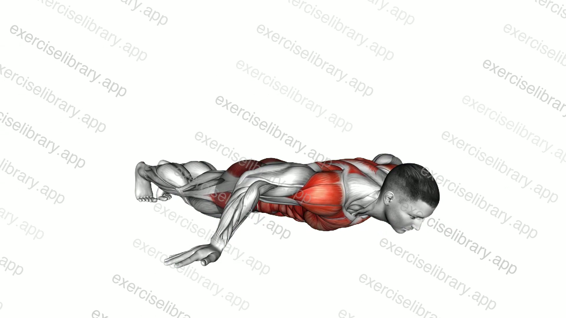 Iron Cross Plank demonstration