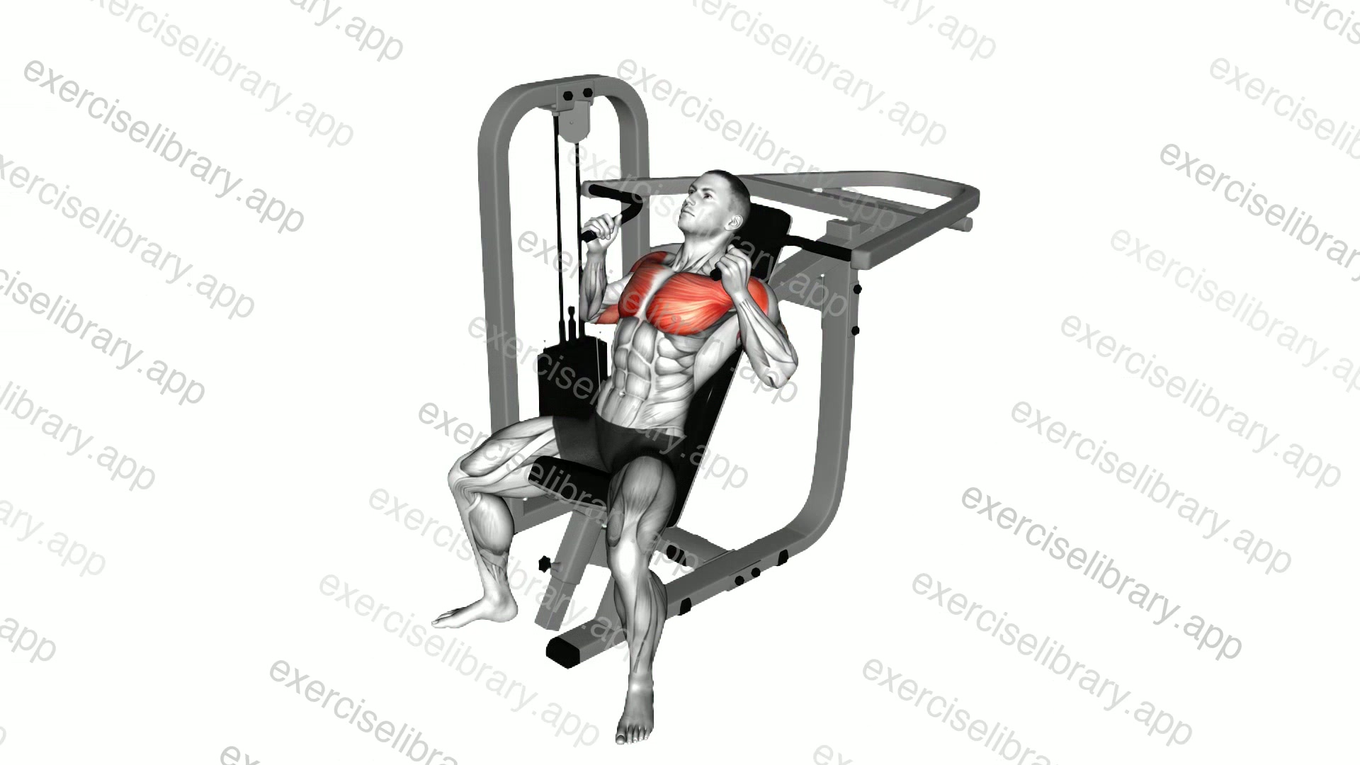 Lever Incline Hammer Chest Press demonstration