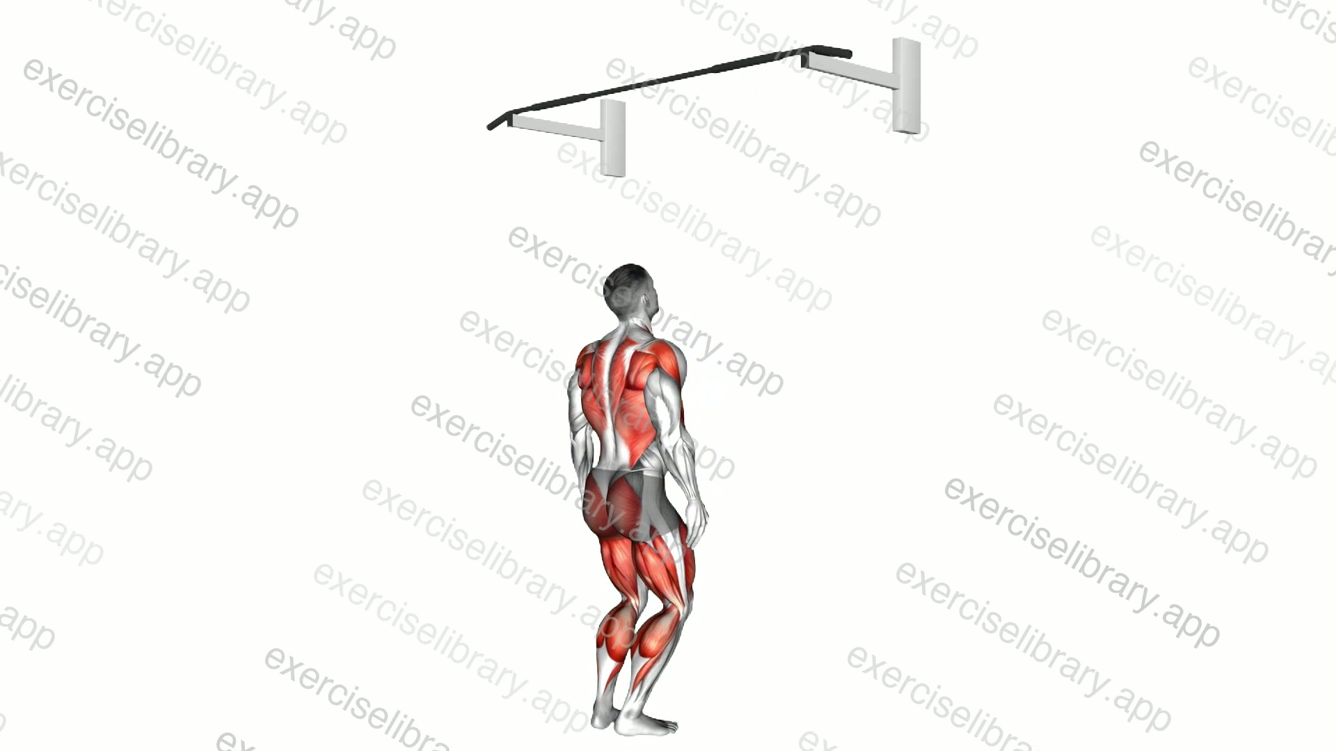 Jumping Pull-up demonstration