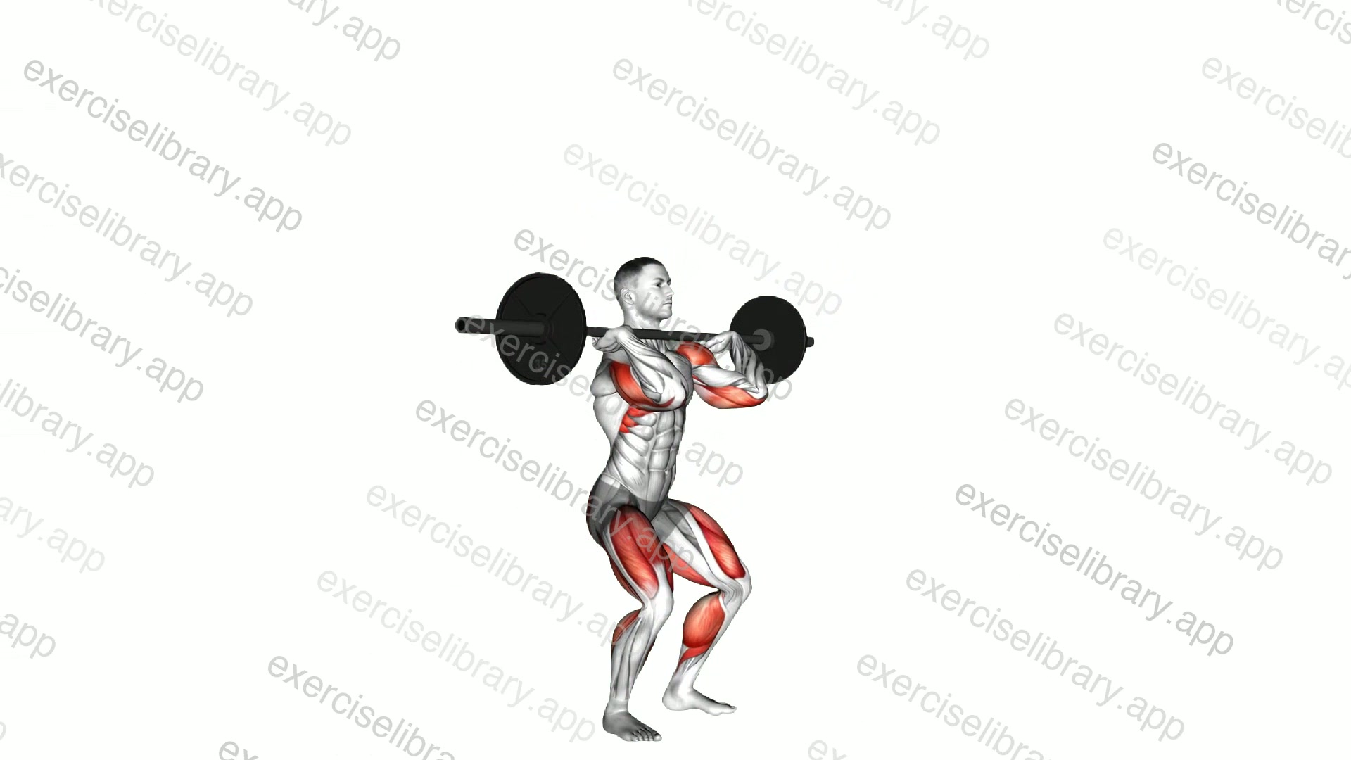 Push Press demonstration