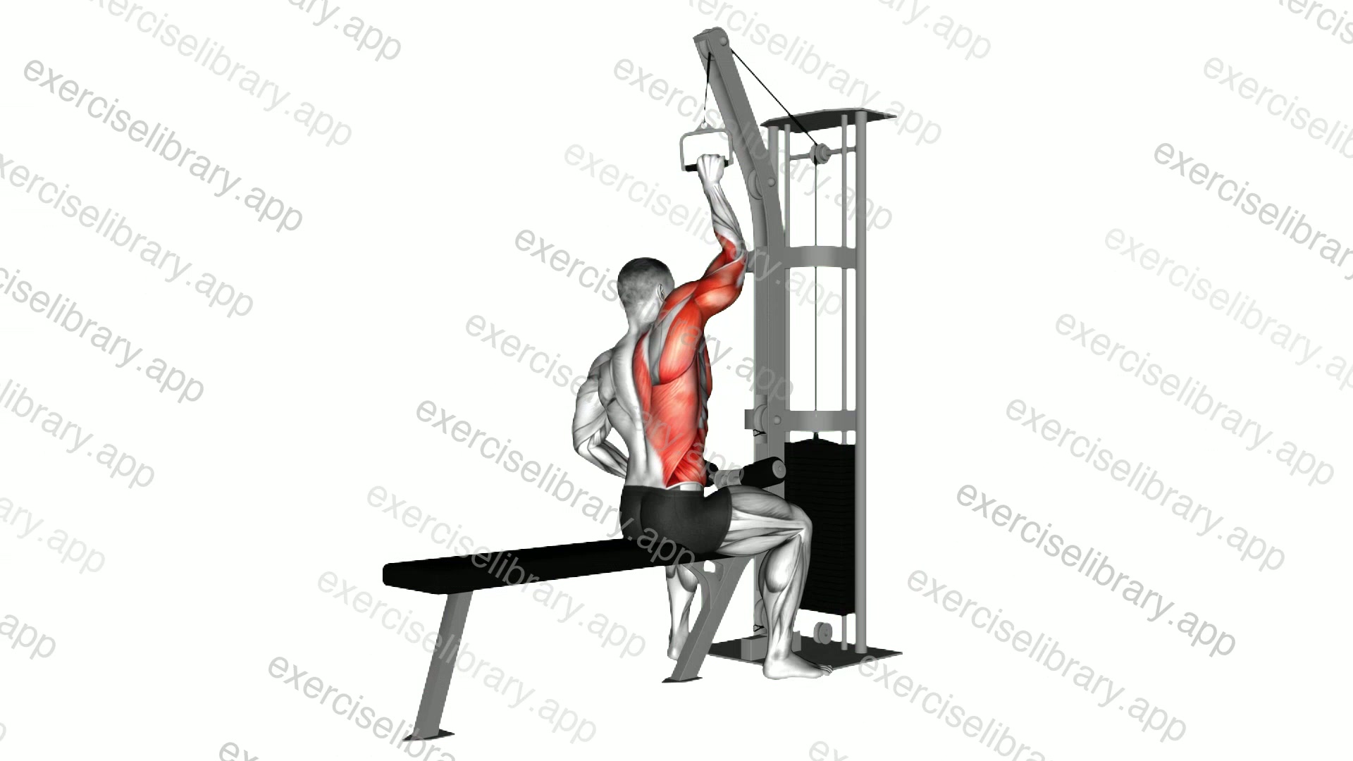 Cable one arm lat pulldown demonstration