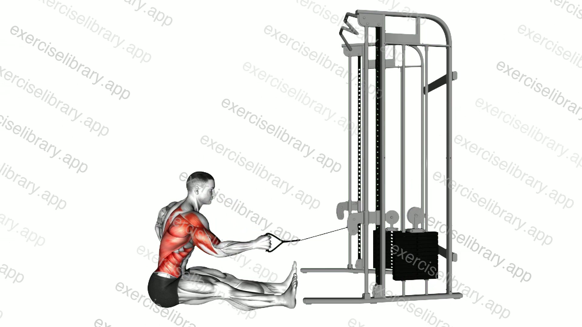 Cable one arm twisting seated row demonstration
