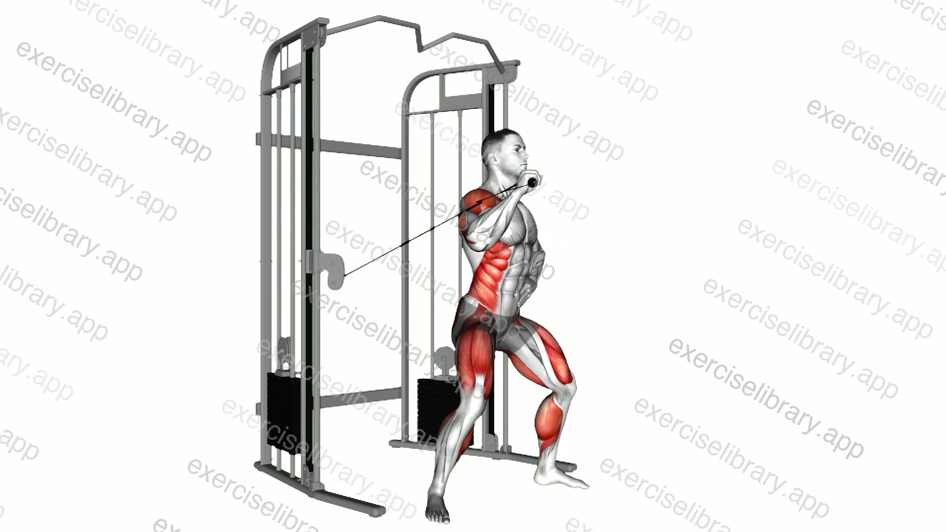 Cable twisting overhead press demonstration