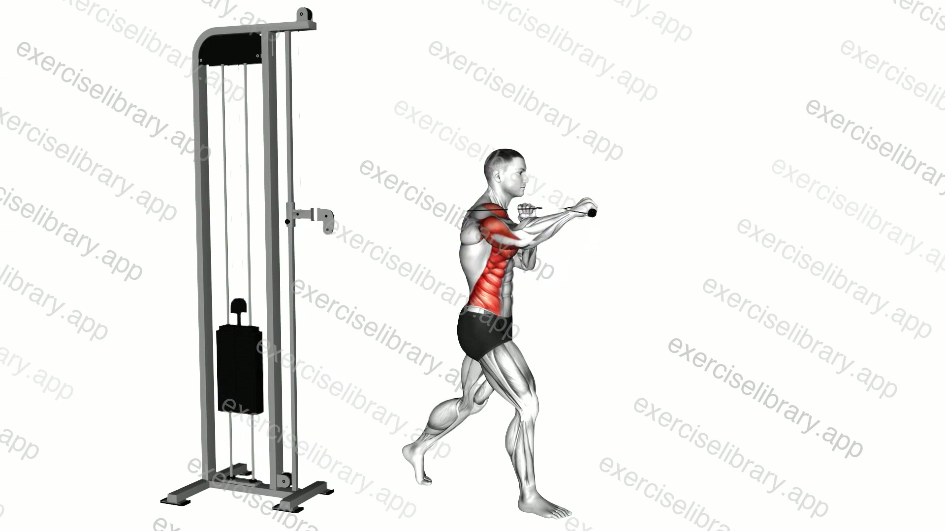 Cable Twisting Standing One Arm Chest Press demonstration