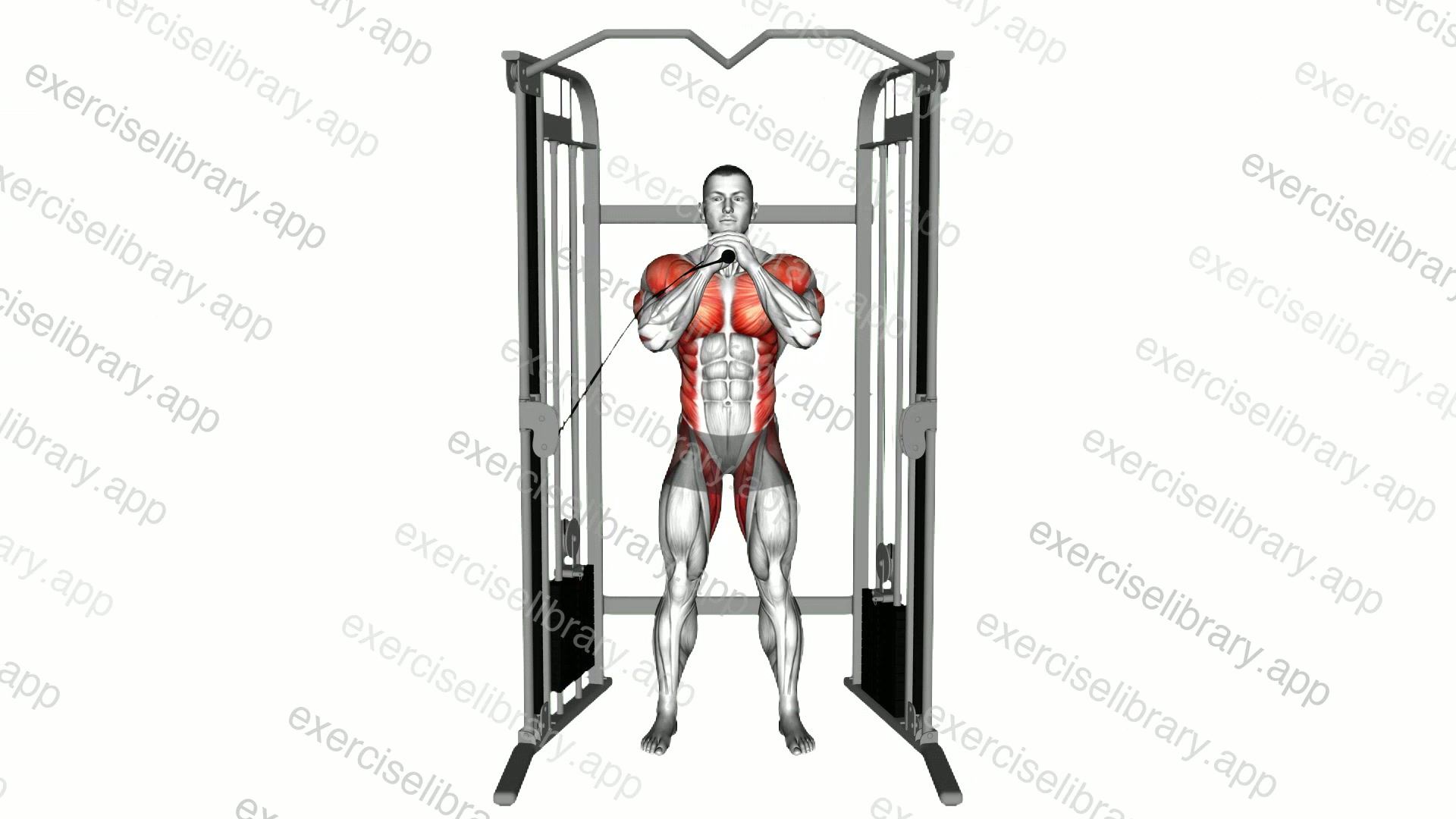 Cable Vertical Pallof Press demonstration