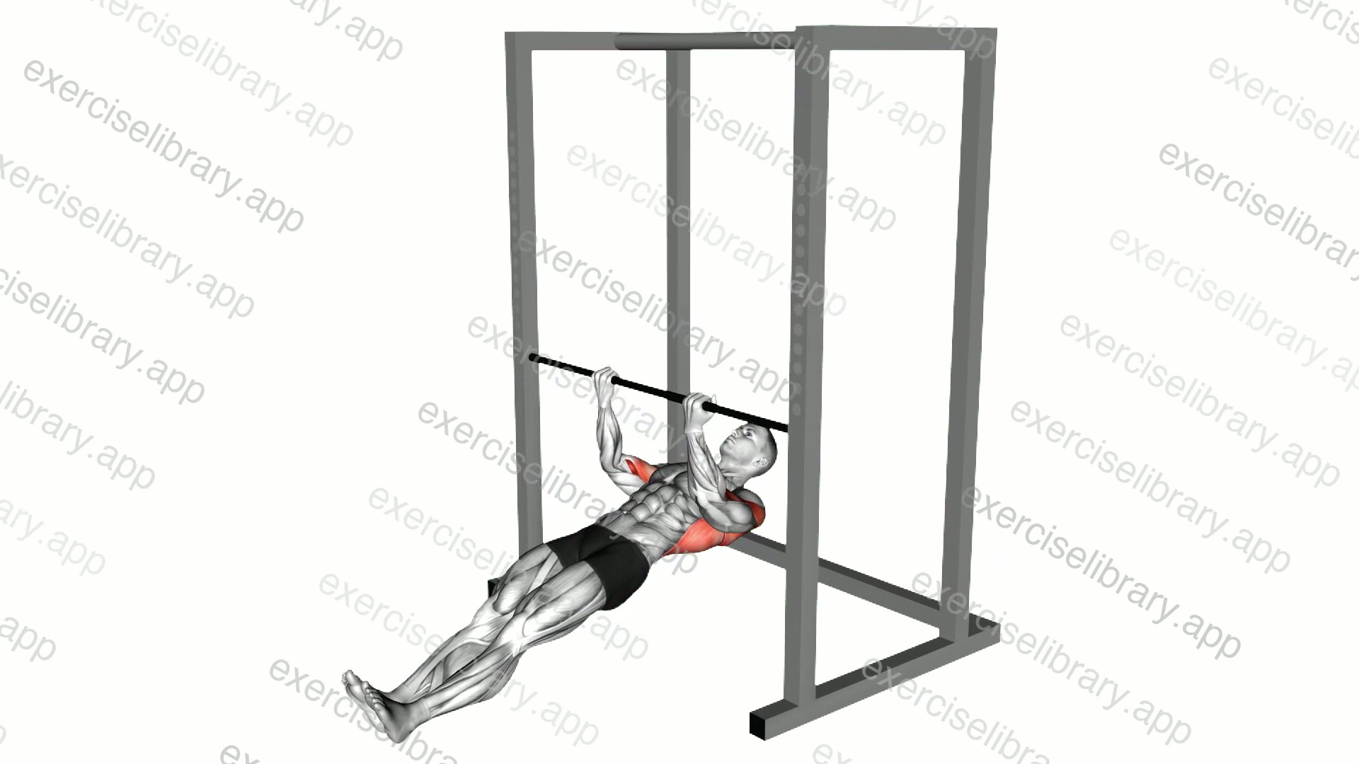Underhand Grip Inverted Back Row demonstration