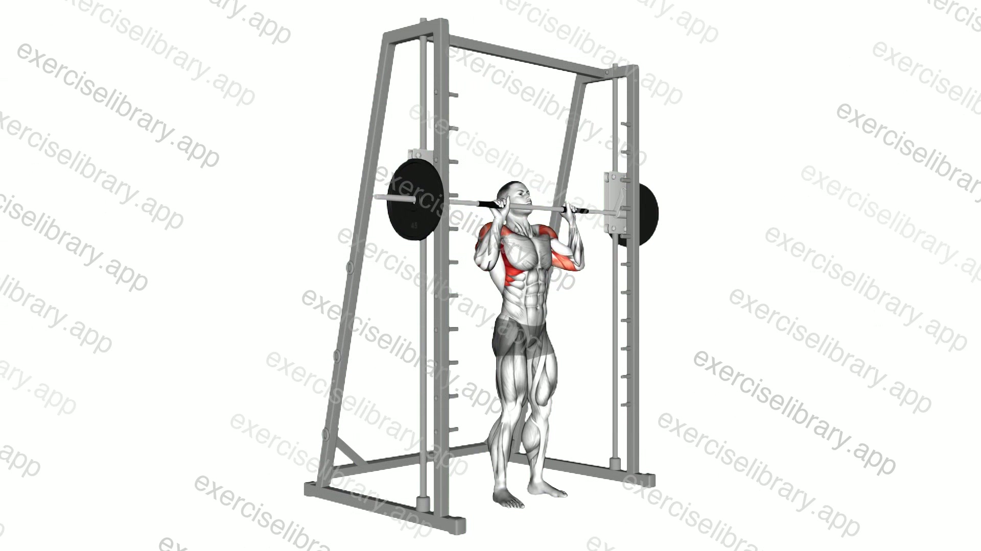 Smith Standing Shoulder Press demonstration