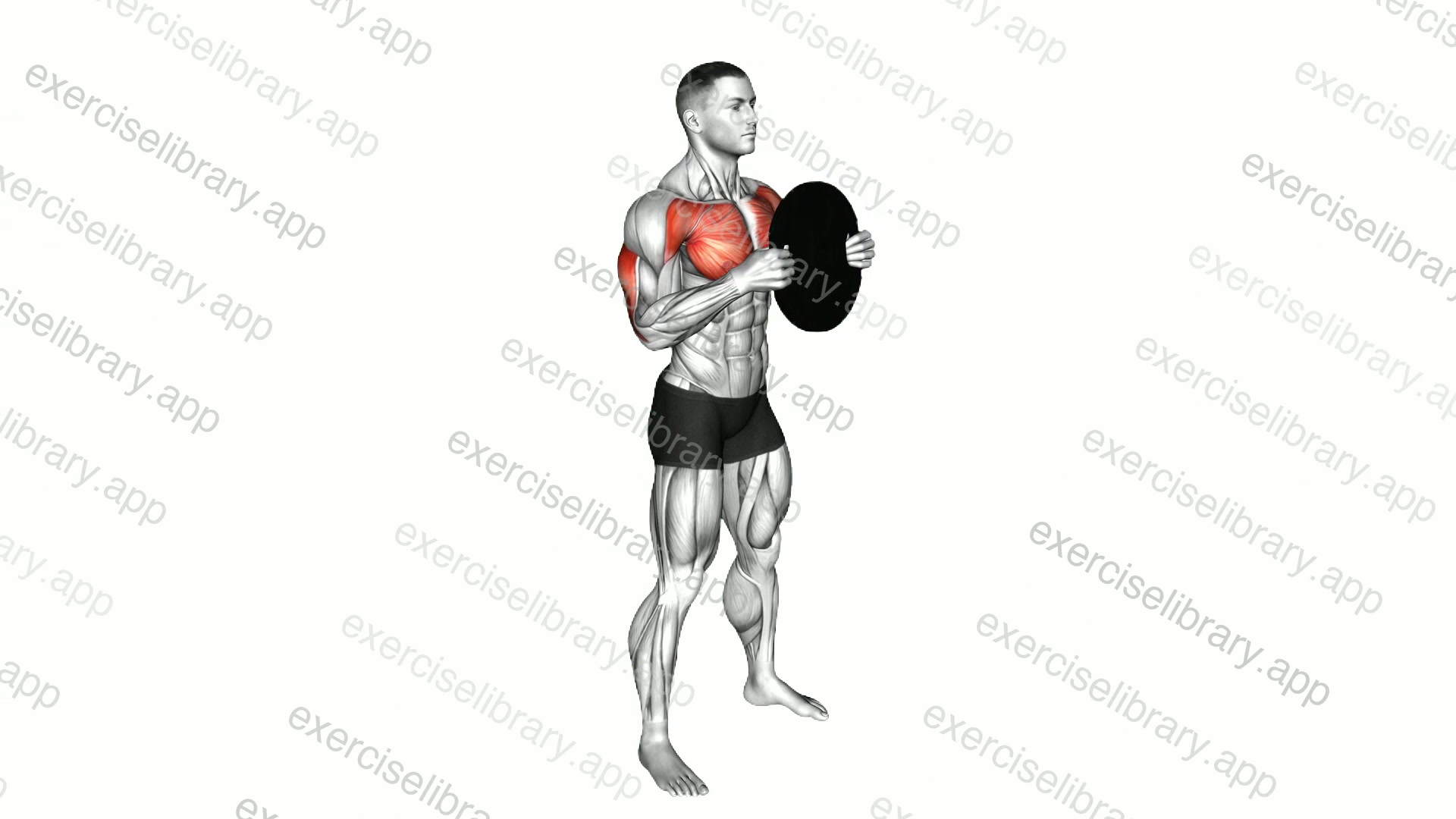Standing Plate Press demonstration