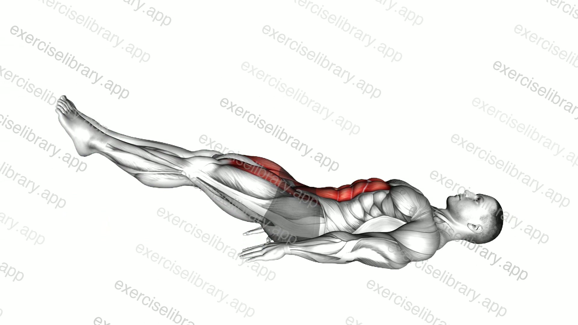 Lying Leg Raise and Hold demonstration