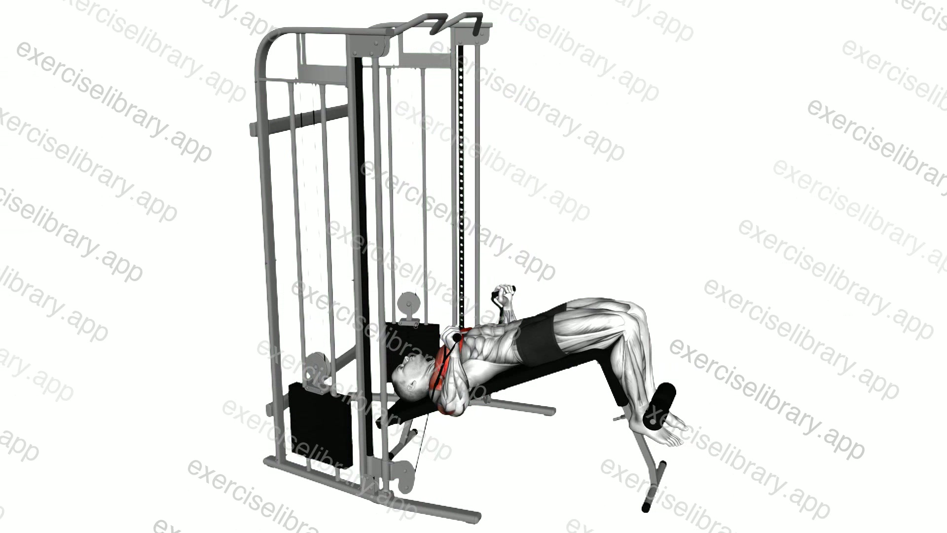 Cable Decline Press demonstration