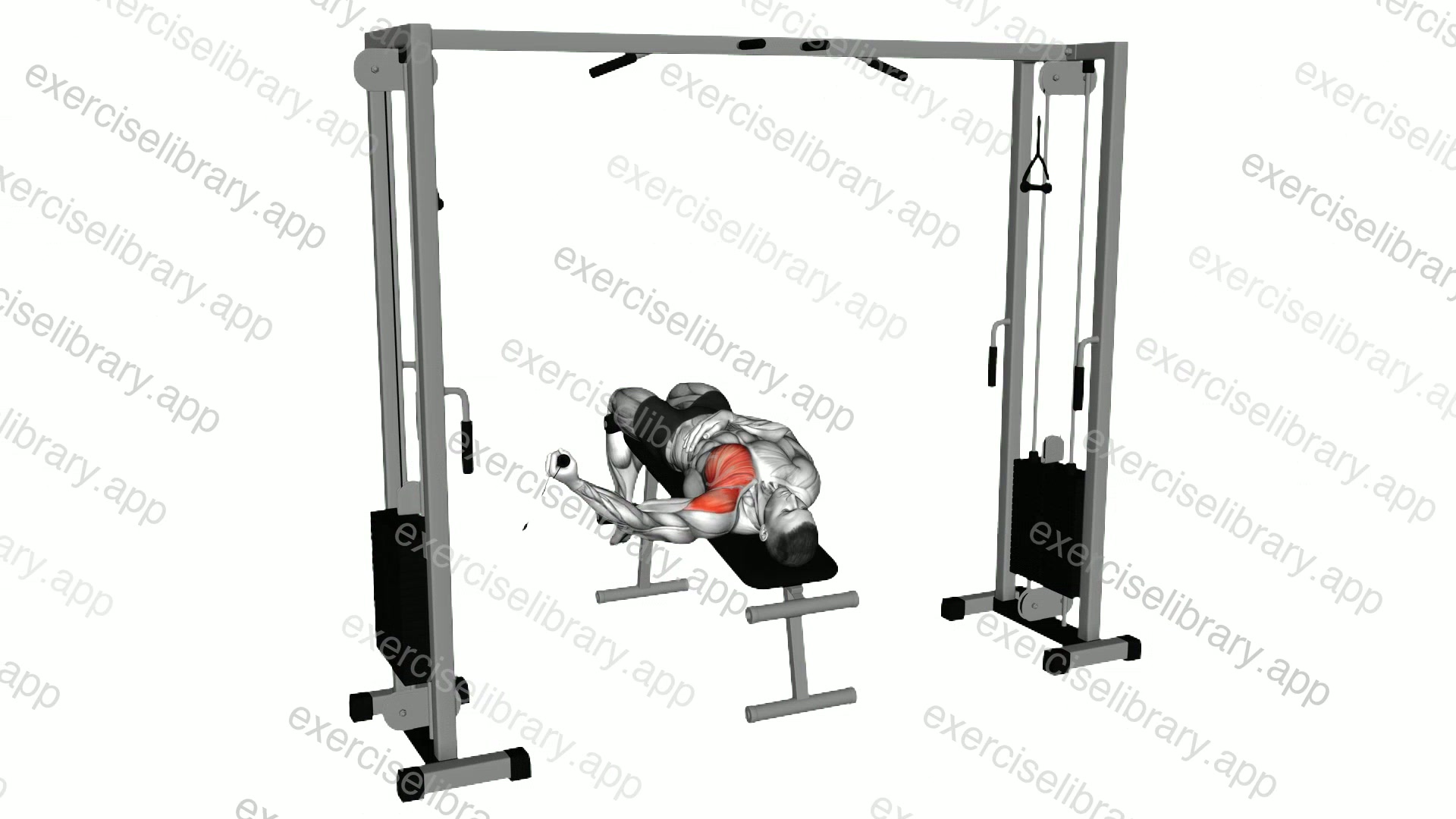 Cable One Arm Decline Chest Fly demonstration