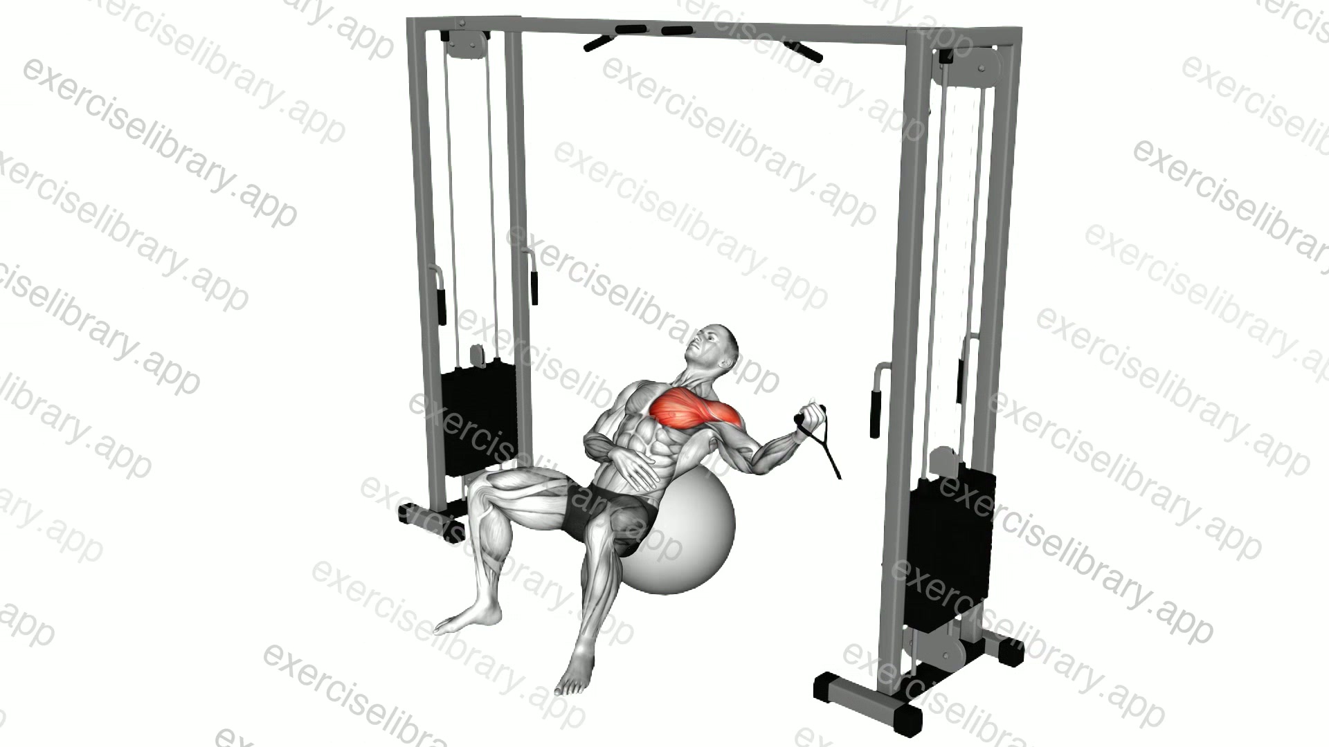 Cable One Arm Incline Fly on Exercise Ball demonstration
