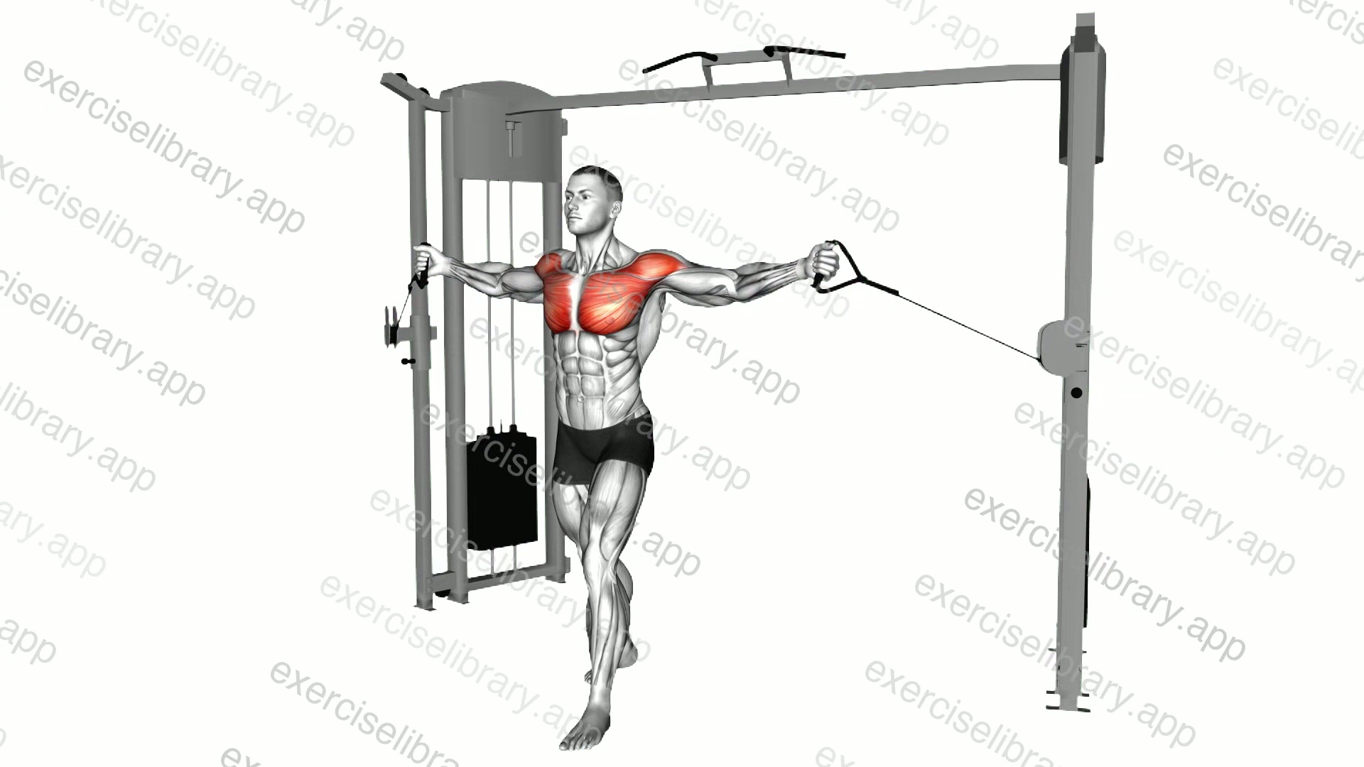 Cable Upper Chest Crossovers demonstration