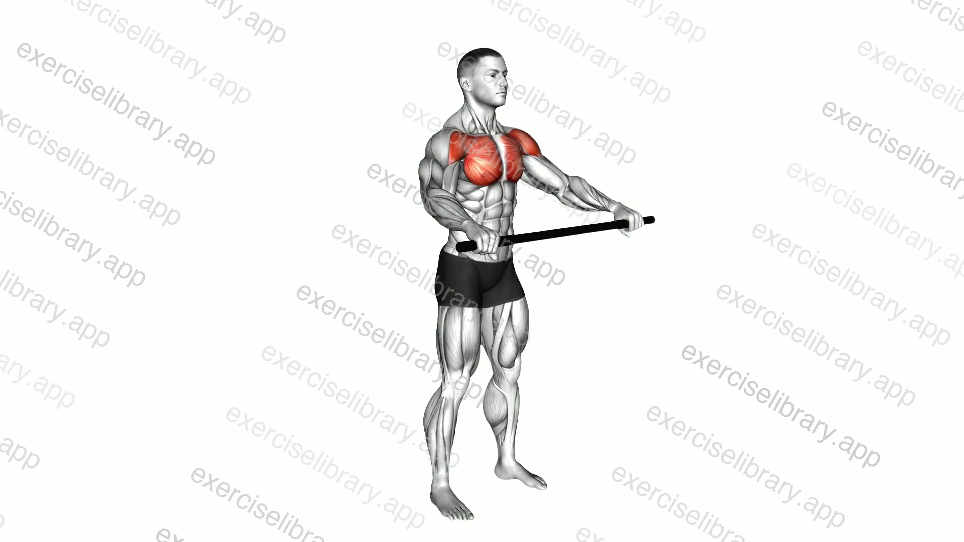 Chest and Front of Shoulder Stretch demonstration