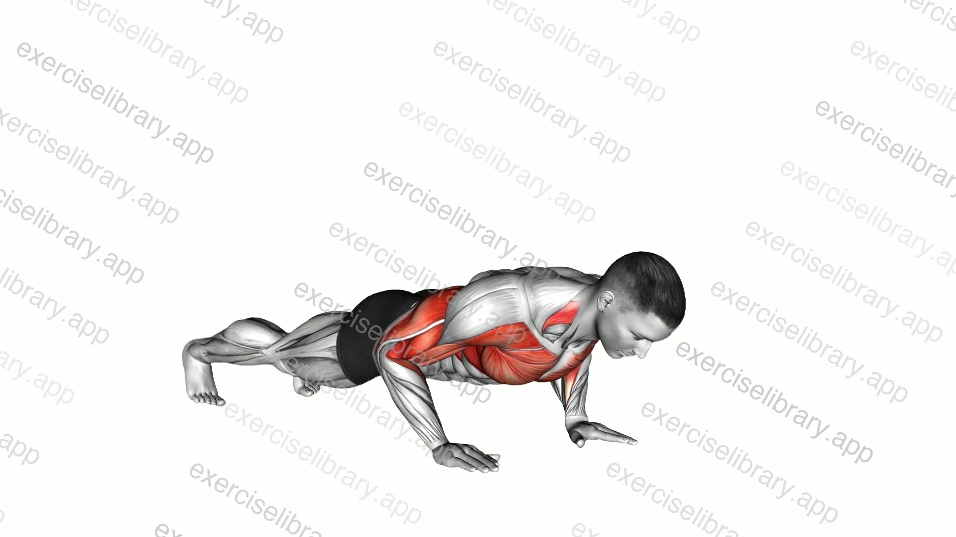 Clap Push-Up demonstration