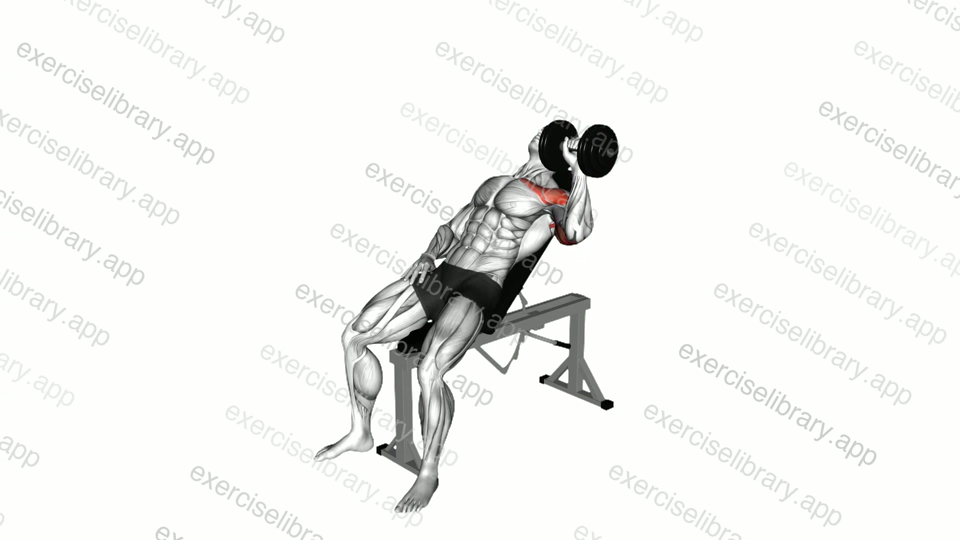Dumbbell Incline One Arm Press demonstration