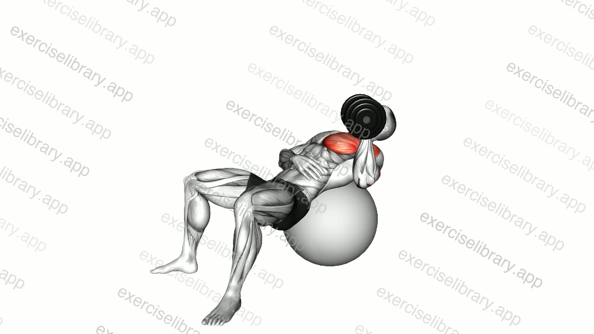 Dumbbell Incline One Arm Press on Exercise Ball demonstration