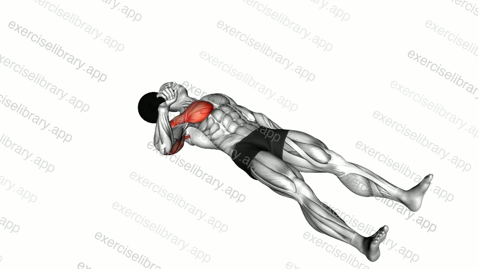 Kettlebell One Arm Floor Press demonstration