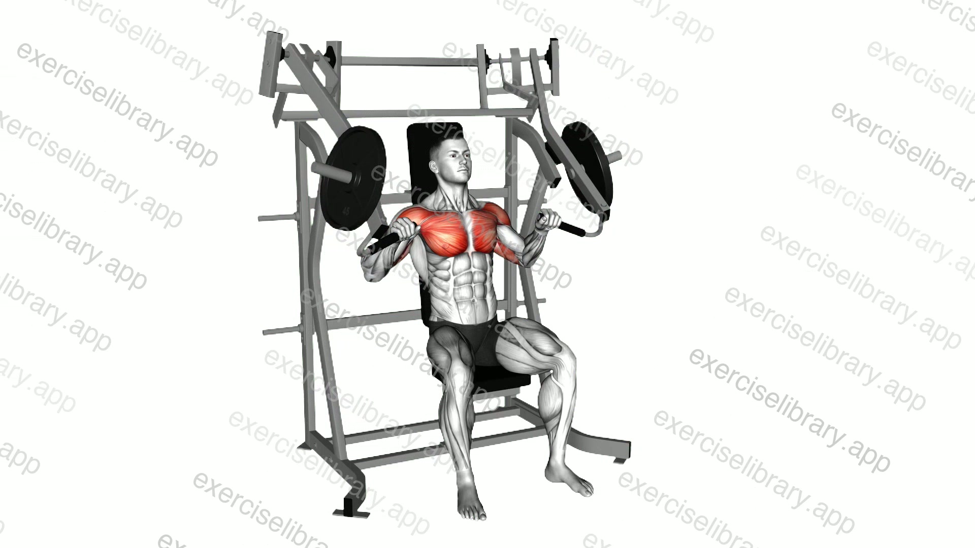 Lever Incline Chest Press demonstration