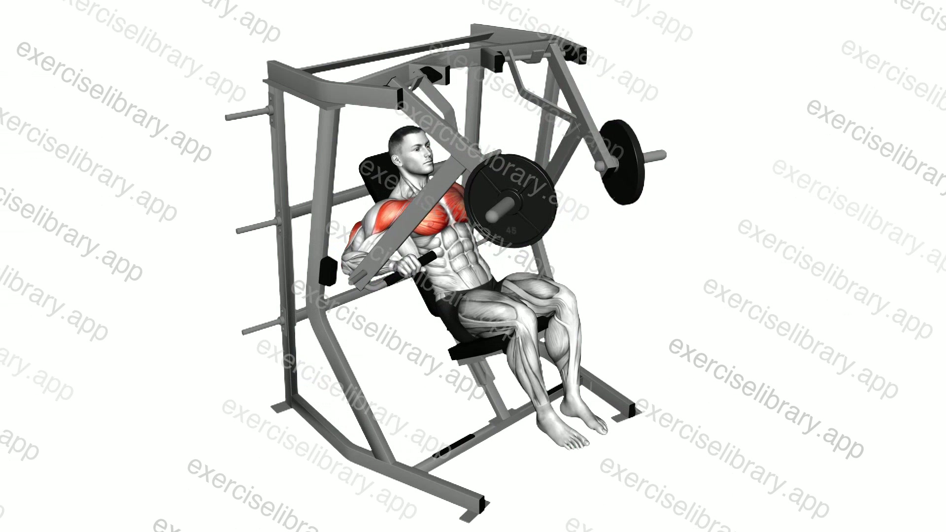 Lever Decline Chest Press demonstration