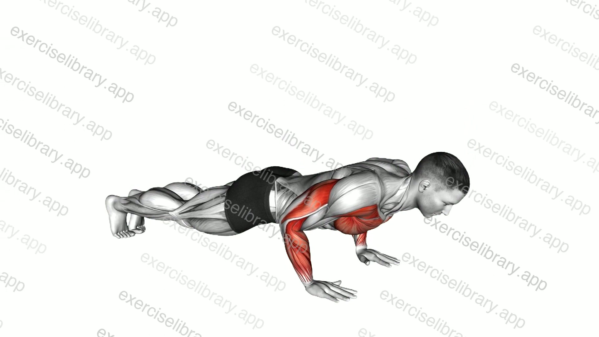 Plyo Push-up demonstration