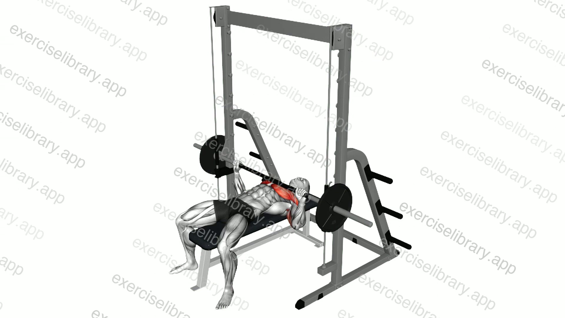 Smith Wide Grip Bench Press demonstration