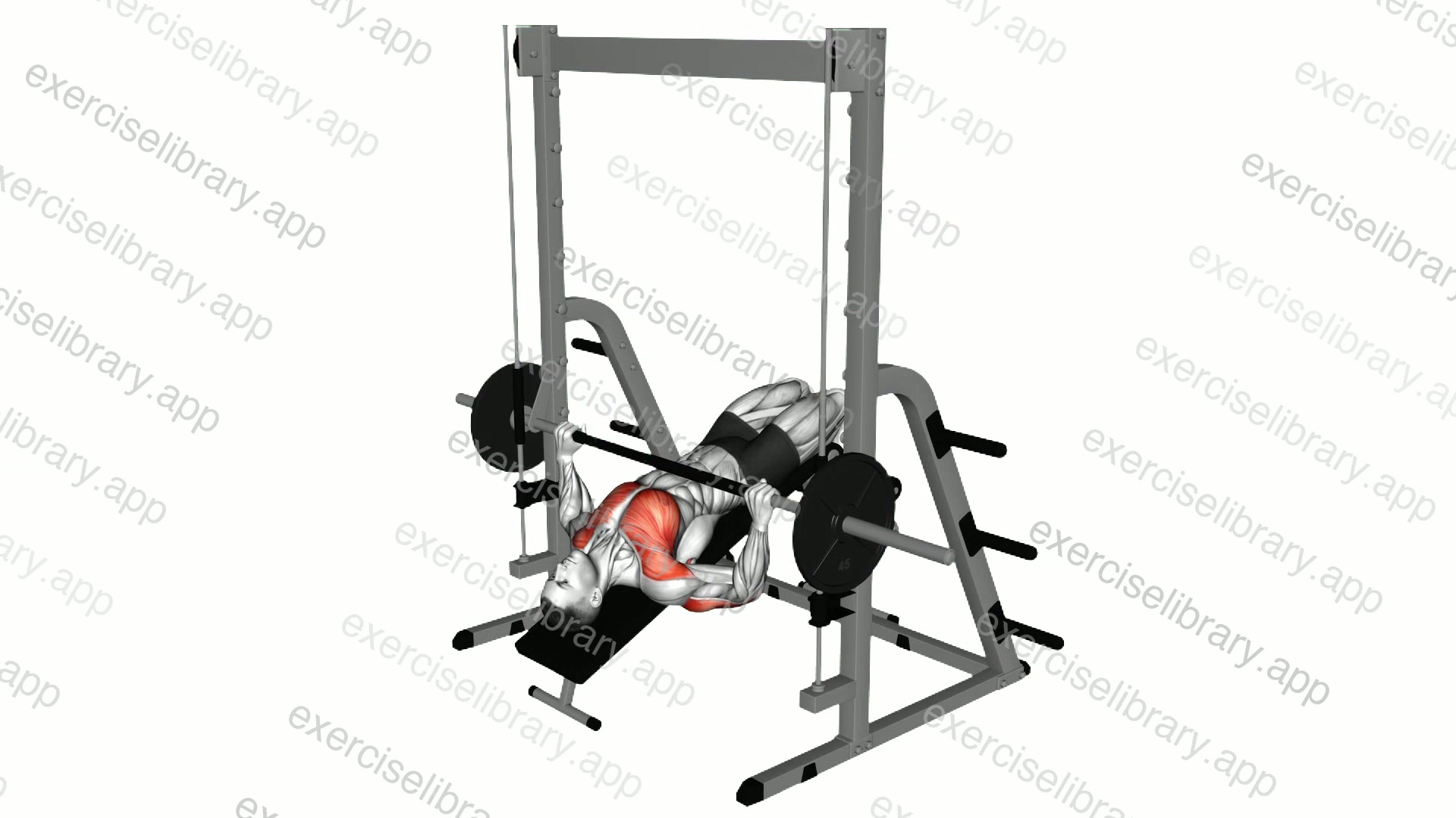 Smith Wide Grip Decline Bench Press demonstration
