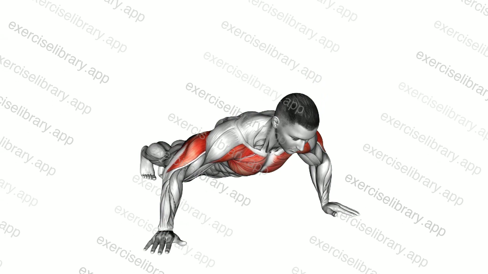 Wide Hand Push-up demonstration