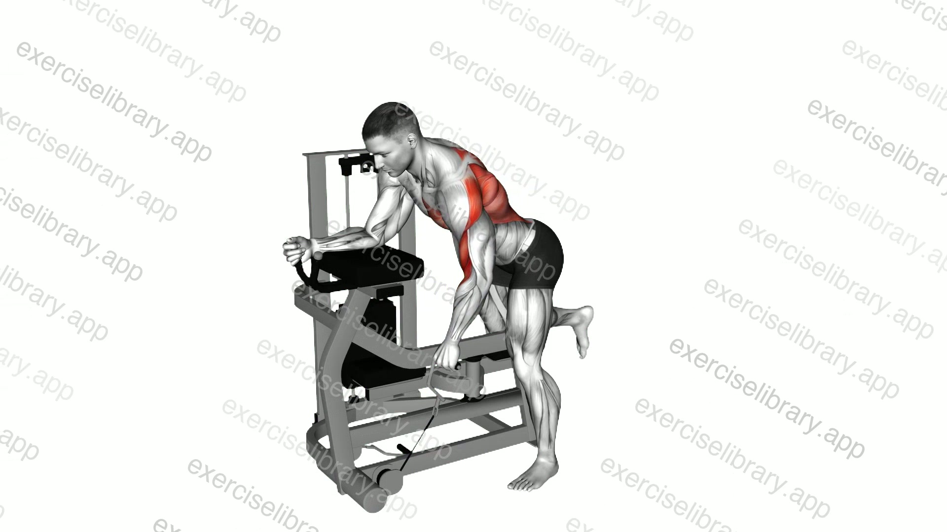 Lever Unilateral Row demonstration
