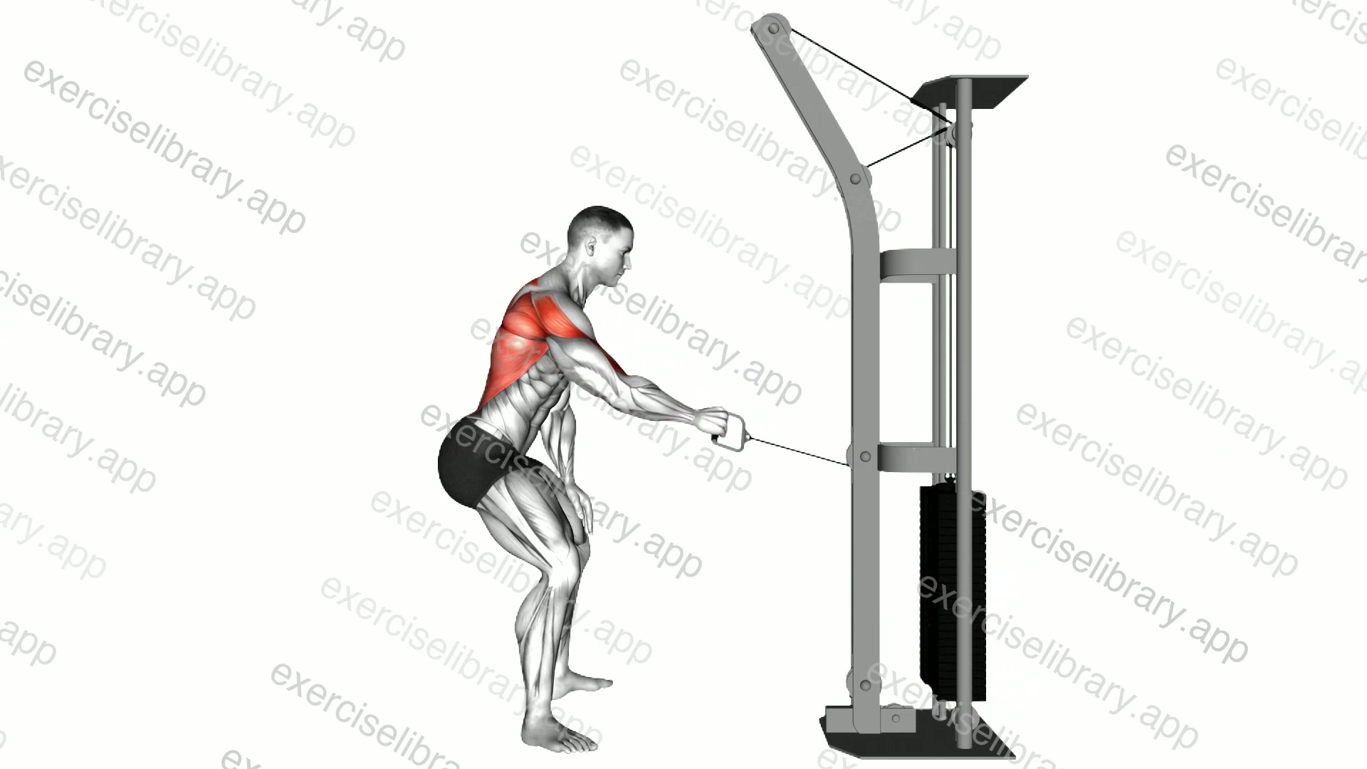 Cable Palm Rotational Row demonstration