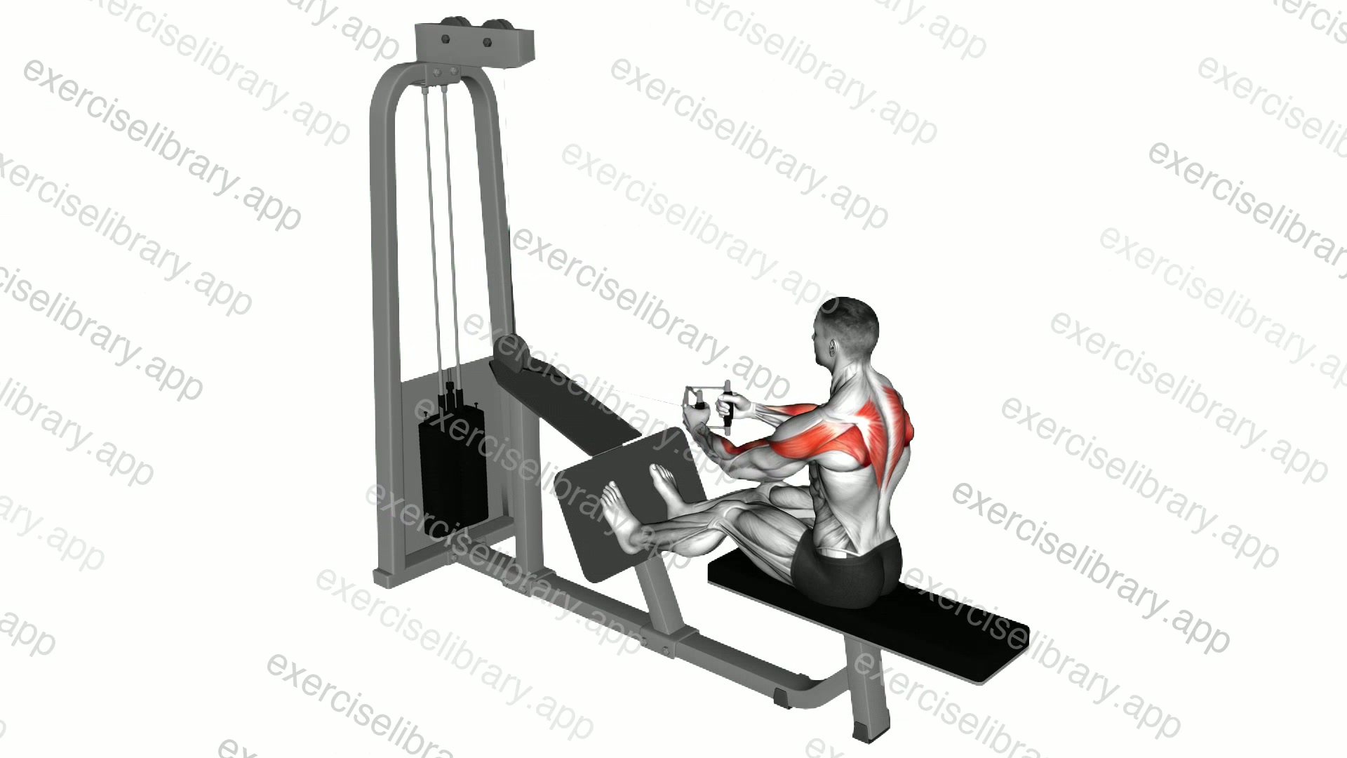 Cable Upper Row demonstration