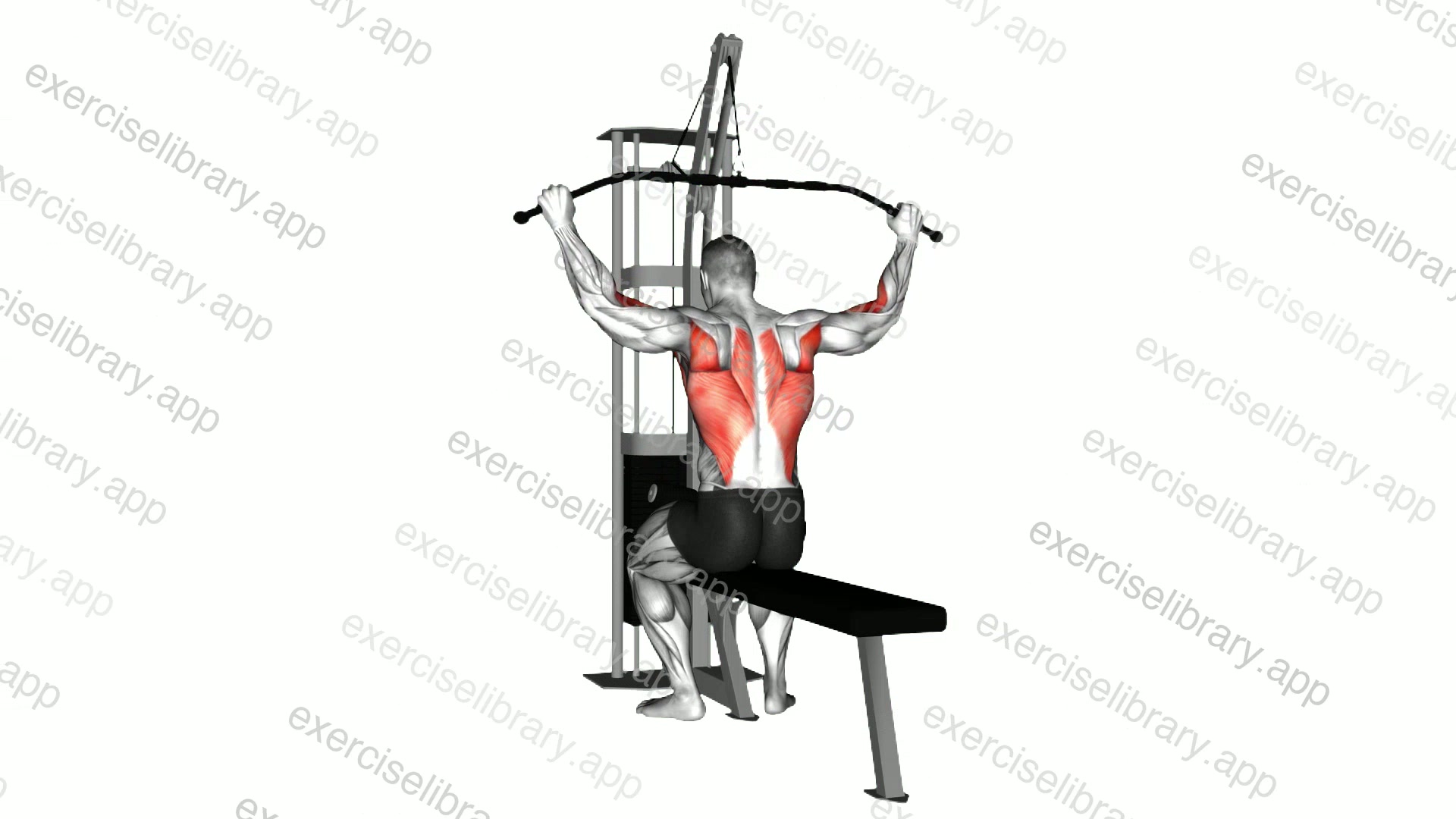 Cable Wide Grip Rear Pulldown Behind Neck demonstration