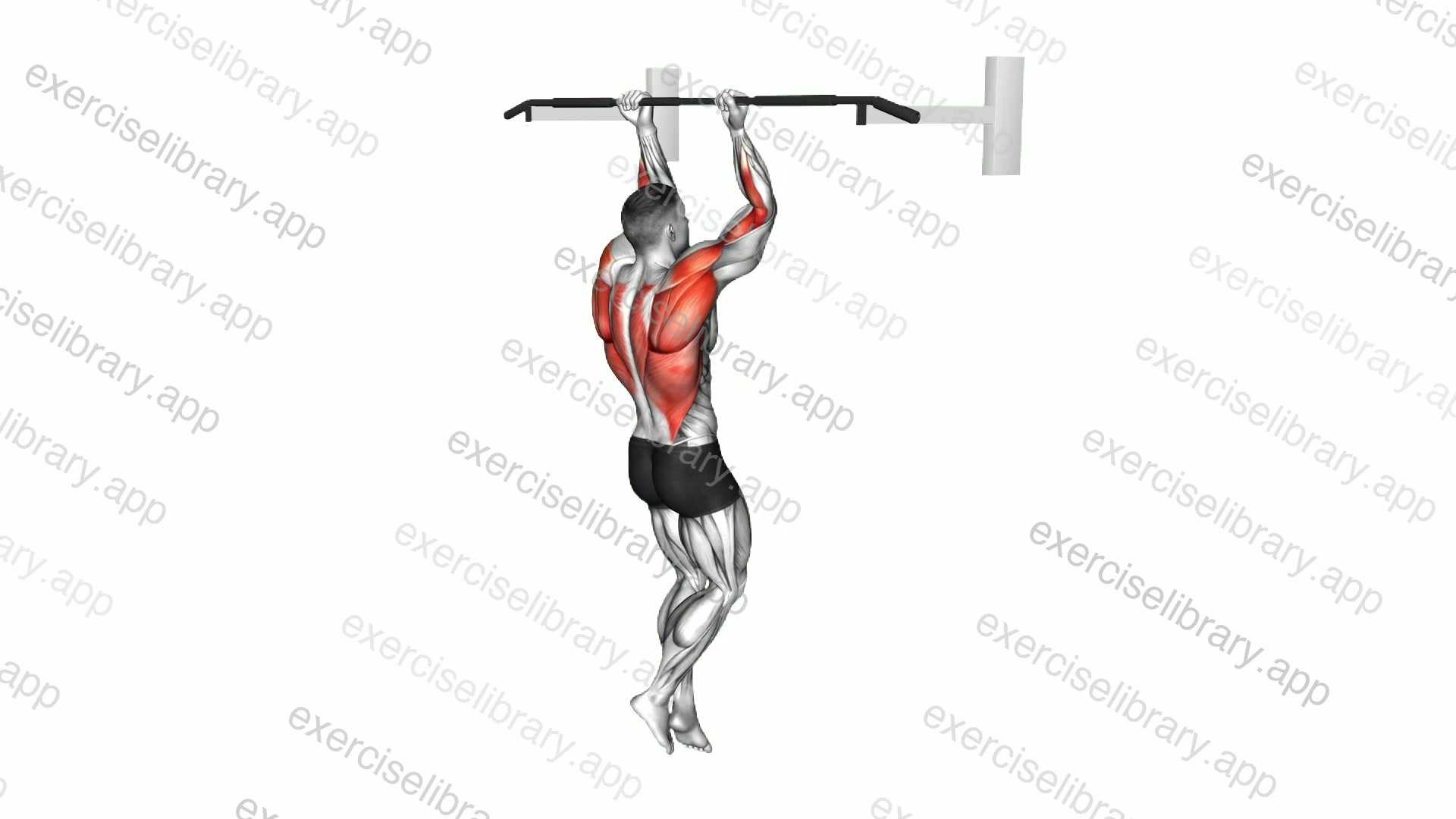 Chin-Up demonstration