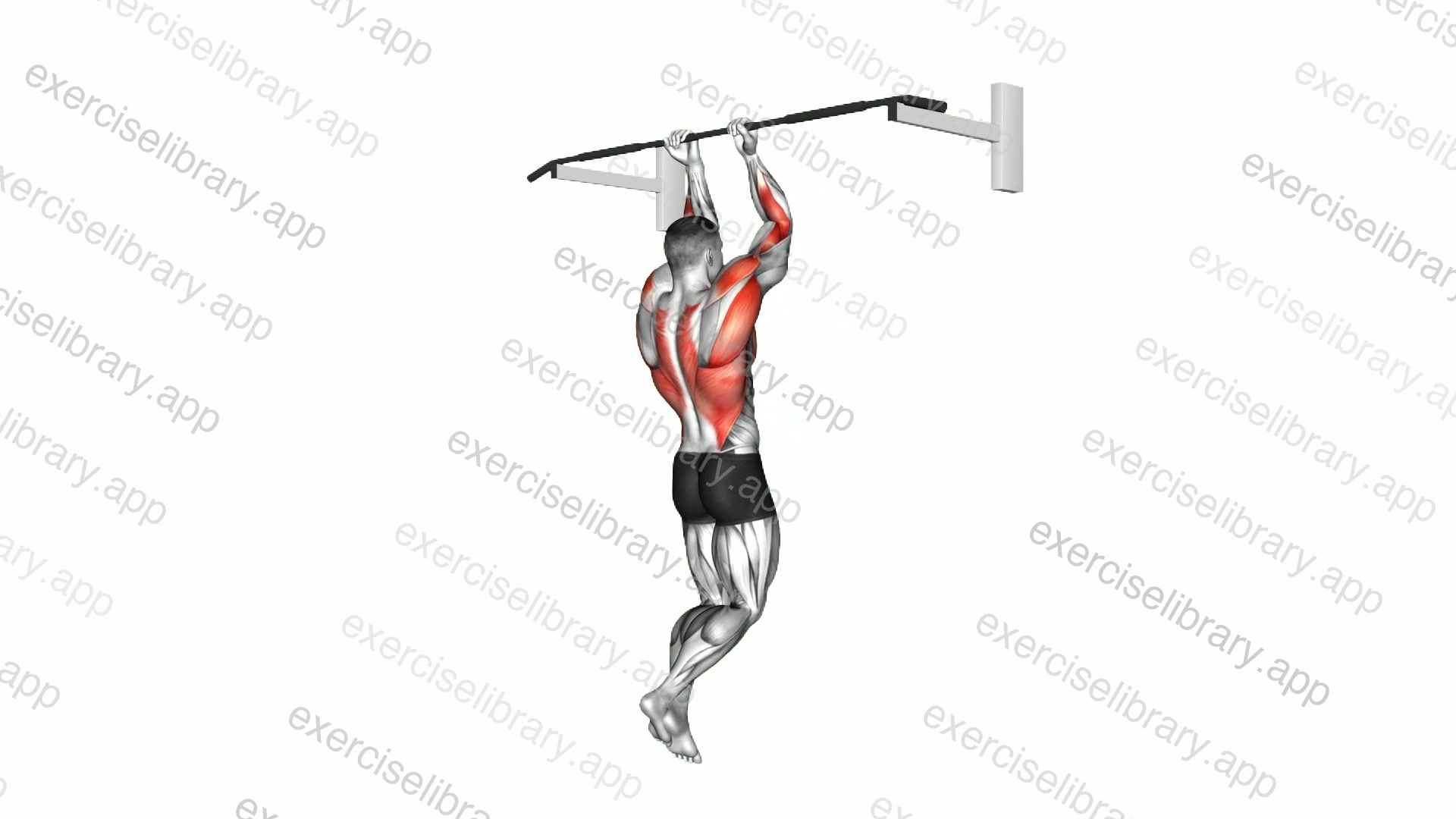 Close Grip Chin-Up demonstration