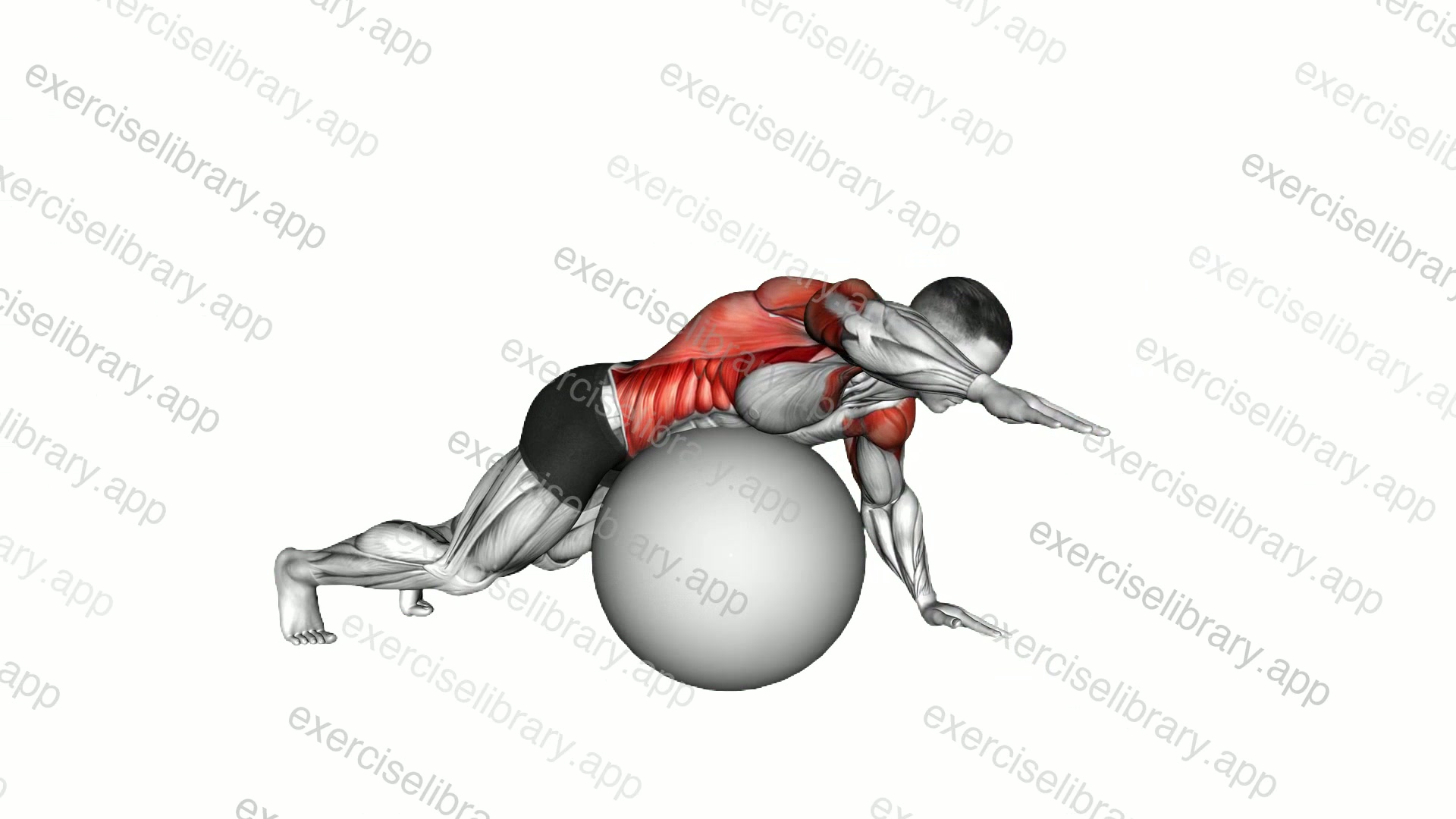 Exercise Ball Alternating Arm Ups demonstration