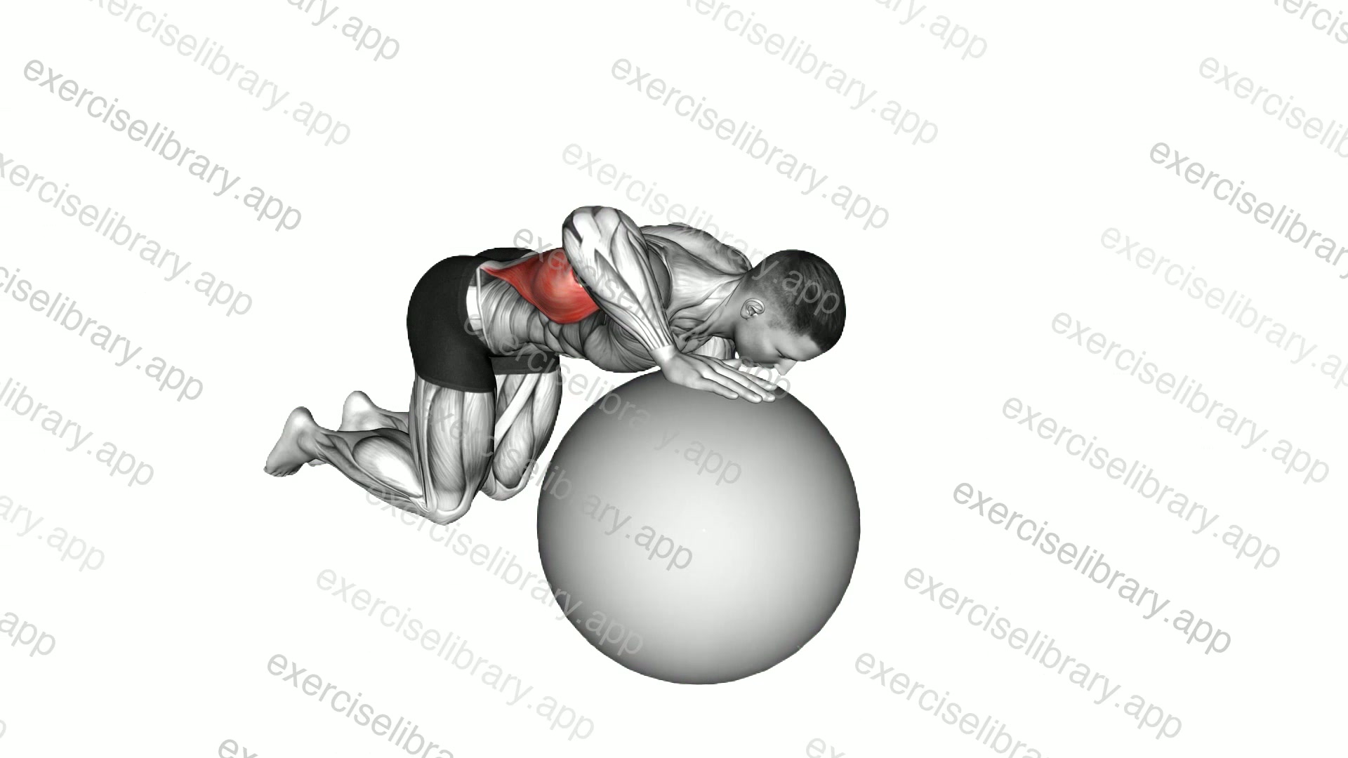 Exercise Ball Lat Stretch demonstration
